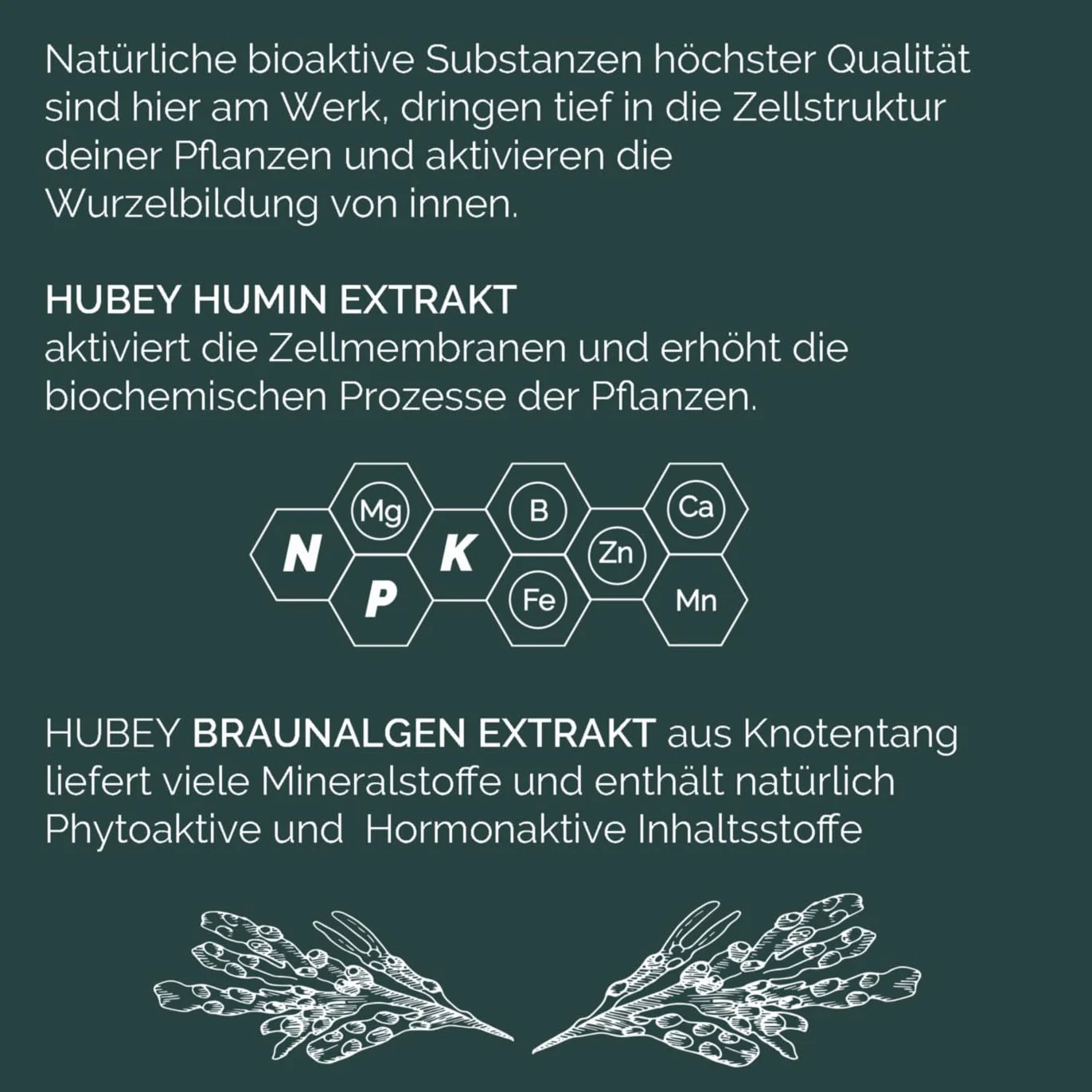 HUBEY Bio Rooting Gel środek do ukorzeniania sadzonek do rozmnażania roślin, stymulator korzeni (30 ml)