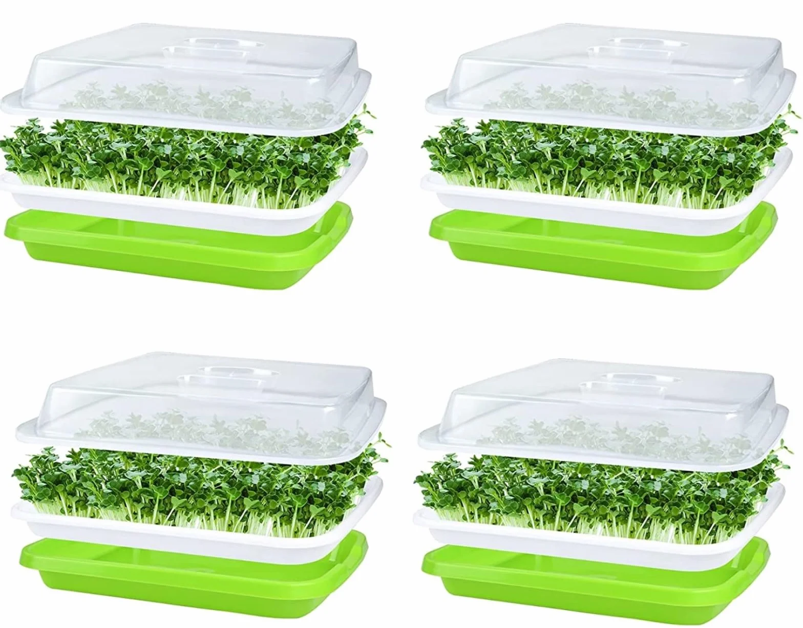 Tace do kiełkowania nasion z pokrywką 32 cm x 26 cm duża pojemność bez BPA zdrowy propagator hydroponiczny 4