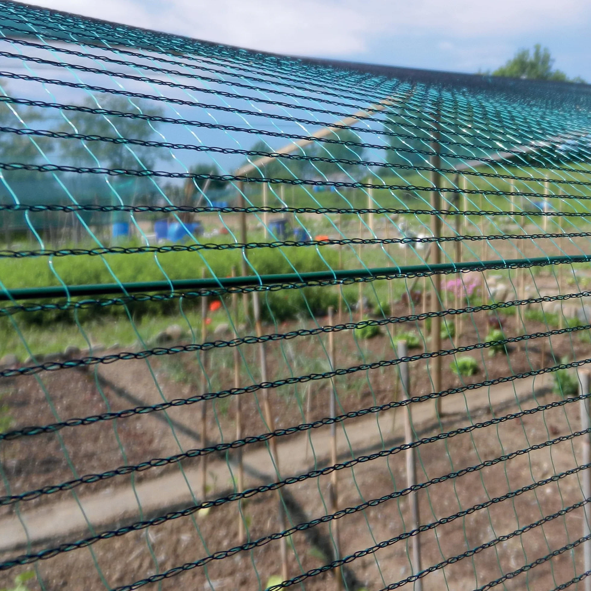 Tenax 4,00x10 m, Zielony, 4,00 x 10 m