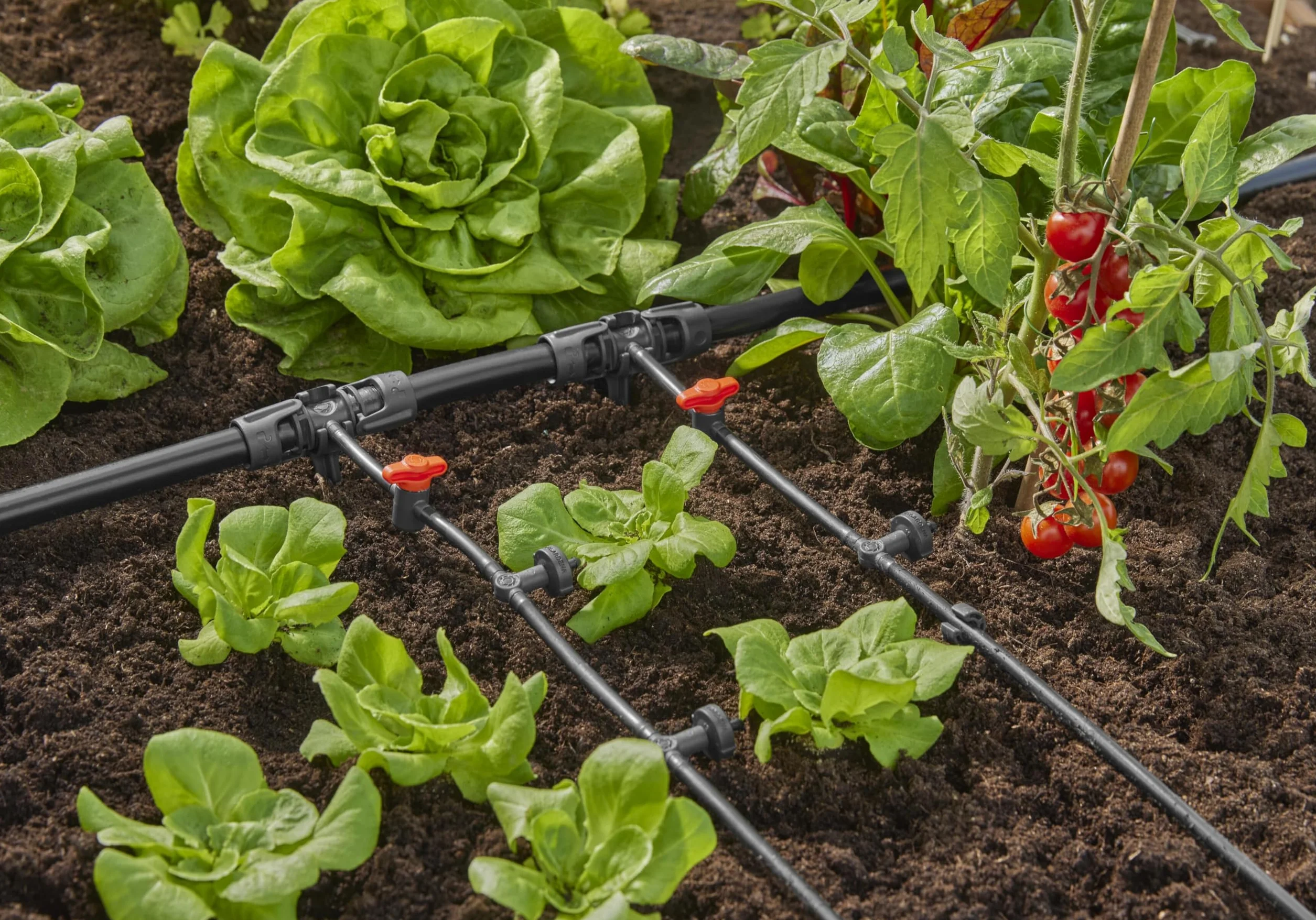 Gardena system Micro-Drip kroplownik rzędowy, regulacja ciśnienia: Kroplownik do automat. systemu nawadniania, do rzędów roślin z różną wysokością donic, prosta technika połączeniowa (13312-20)
