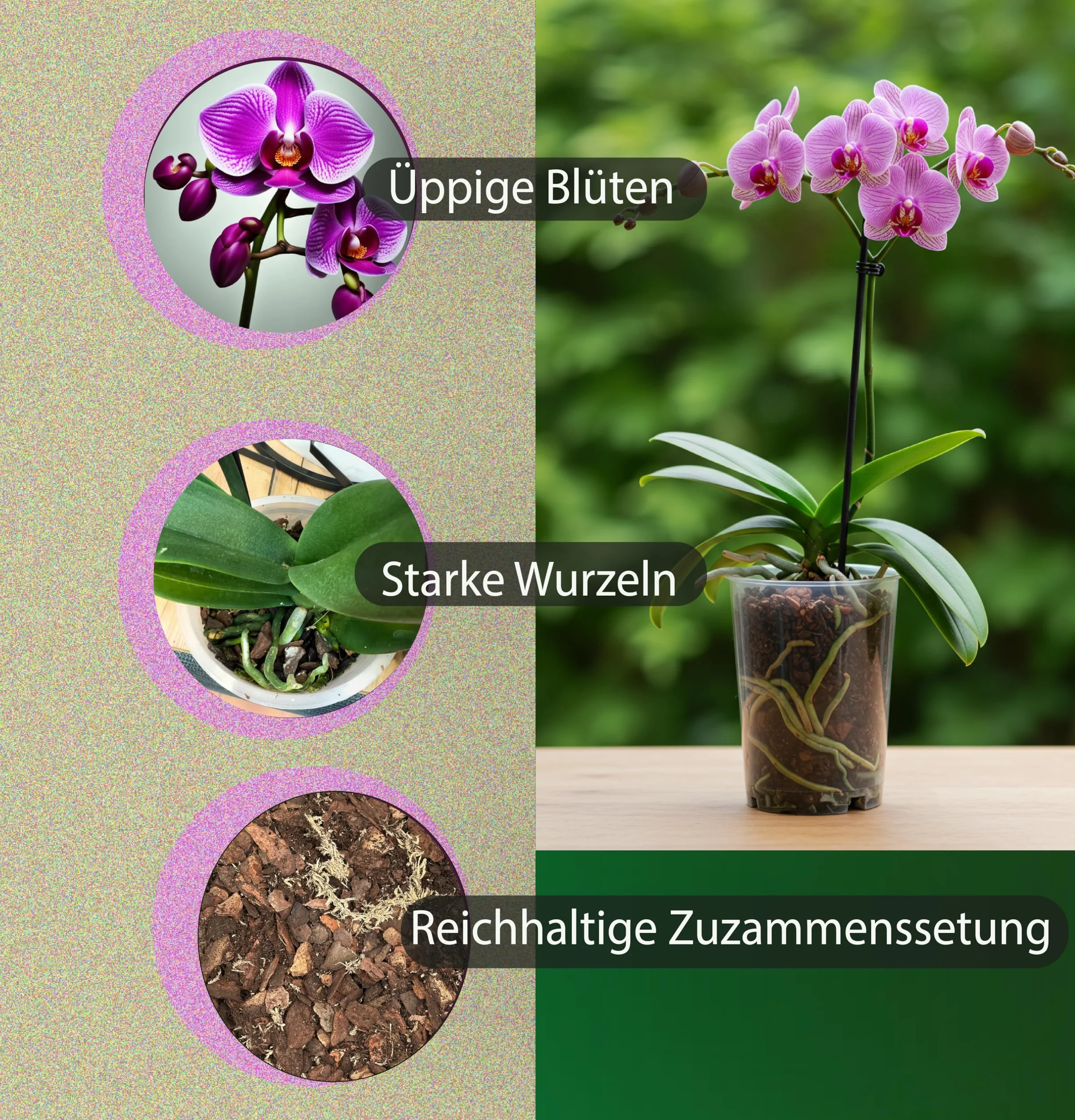 Garten Lux Ziemia do storczyków 2,5 l 6 komponentów substrat zdrowego wzrostu