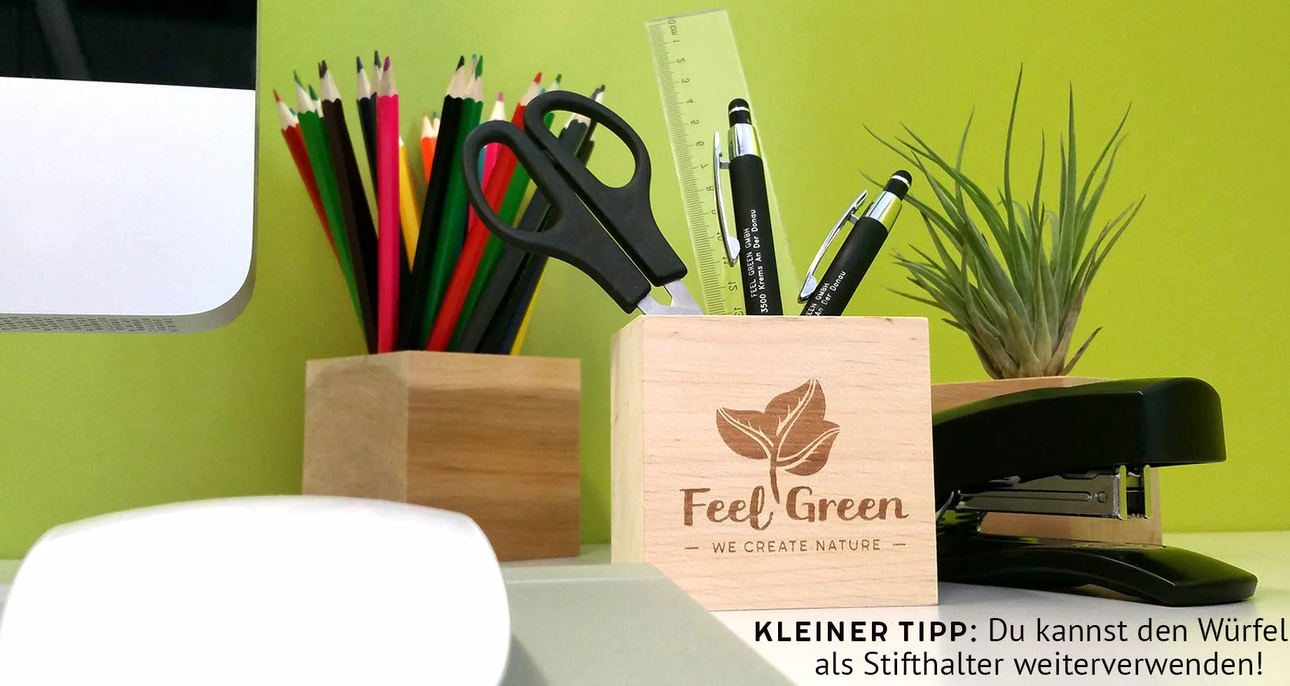 Feel Green Ecocube szarotka szarotka, zrównoważony pomysł na prezent (100% ekologiczna Friendly), zestaw do uprawy, rośliny w drewnianej kostce, Made in Austria