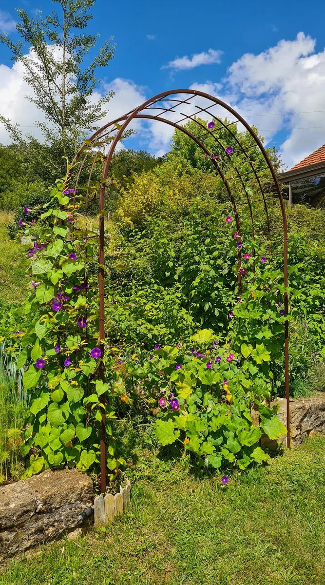 Louis Moulin Pergola, Czarny, 180 x 50 x 250 cm