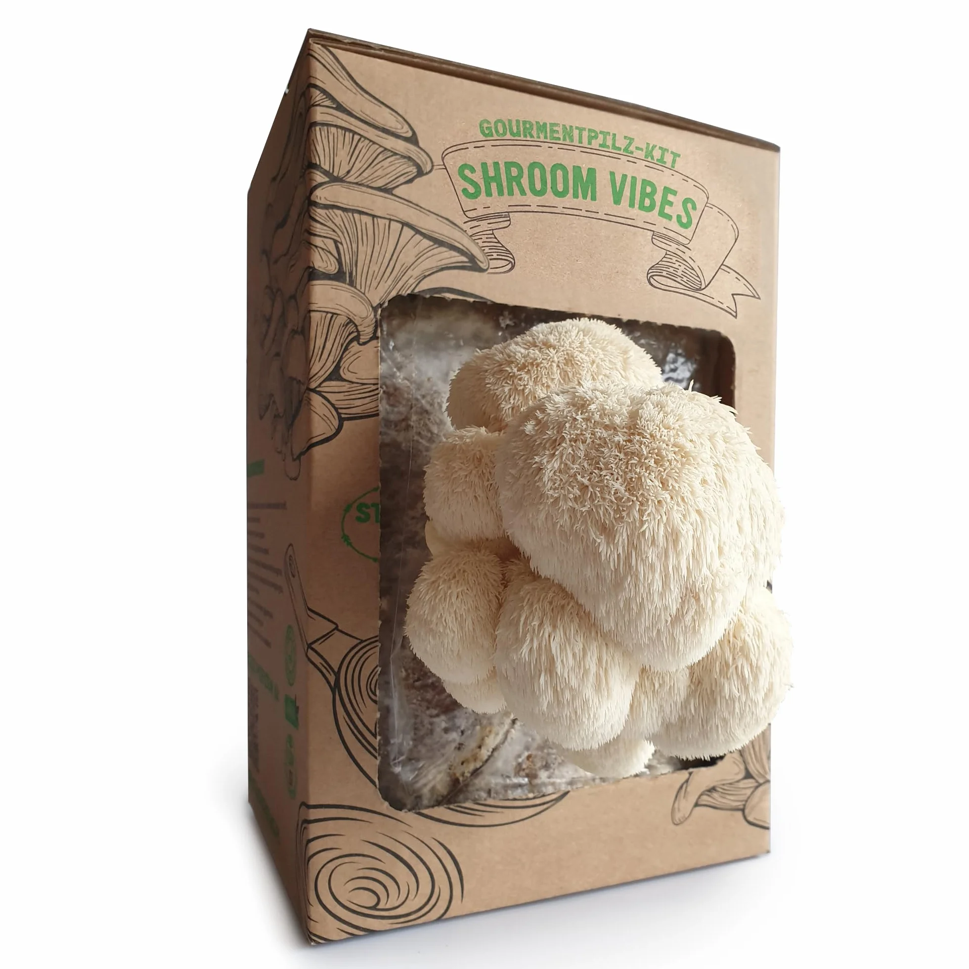BIO Zestaw do hodowli grzybów | Grzyby gryfola (Hericium erinaceus) dziecinnie proste w uprawie | Zestaw do hodowli grzybów do domu | Kompletny zestaw do hodowli grzybów w ekologicznej jakości