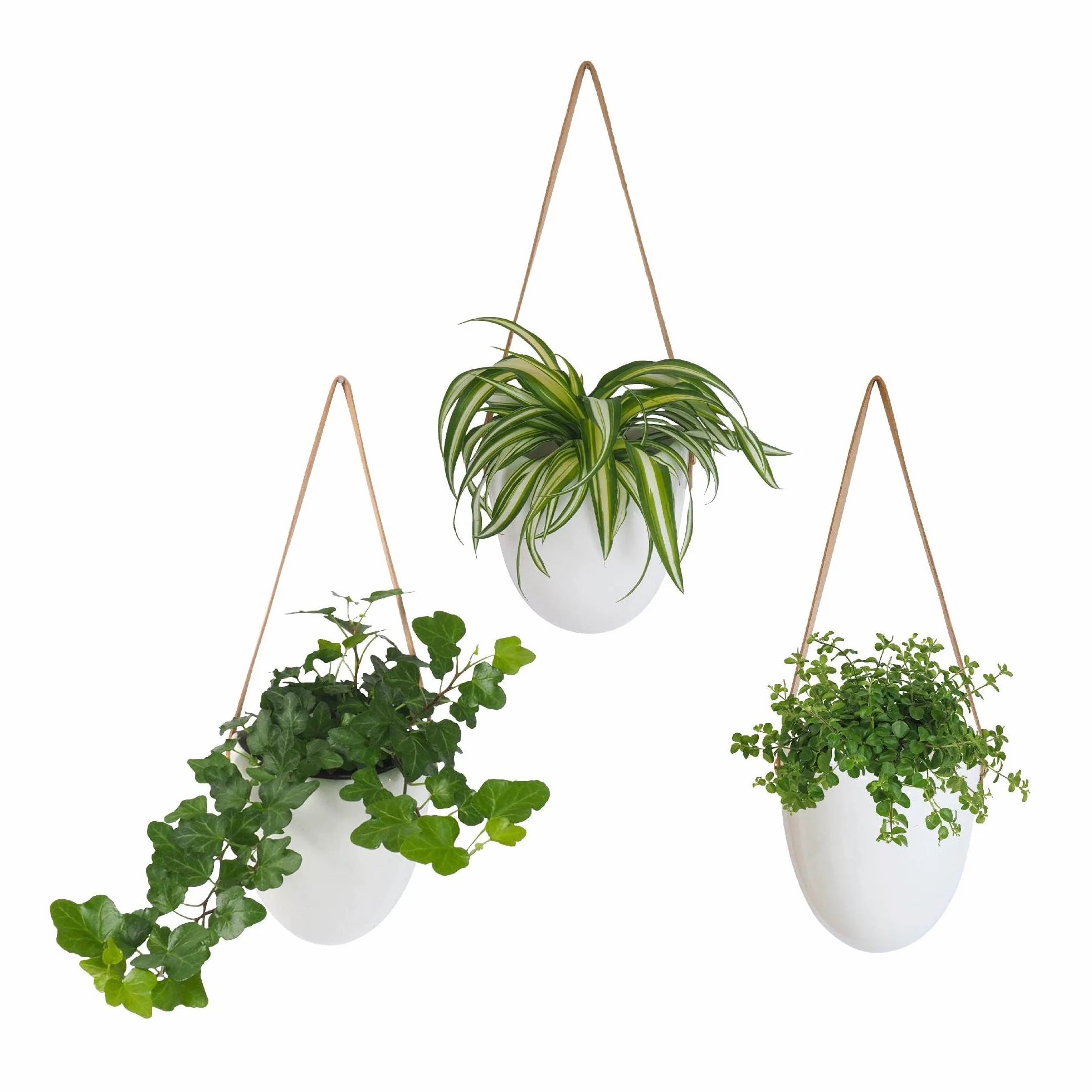 Gadgy Wisząca Doniczka Ceramiczna Biała | Zestaw 3 Doniczek | Wiszące Doniczki do Wiszących Roślin | Do Wnętrza lub Na Zewnątrz | W zestawie 3 różne sznurki i torba do przechowywania