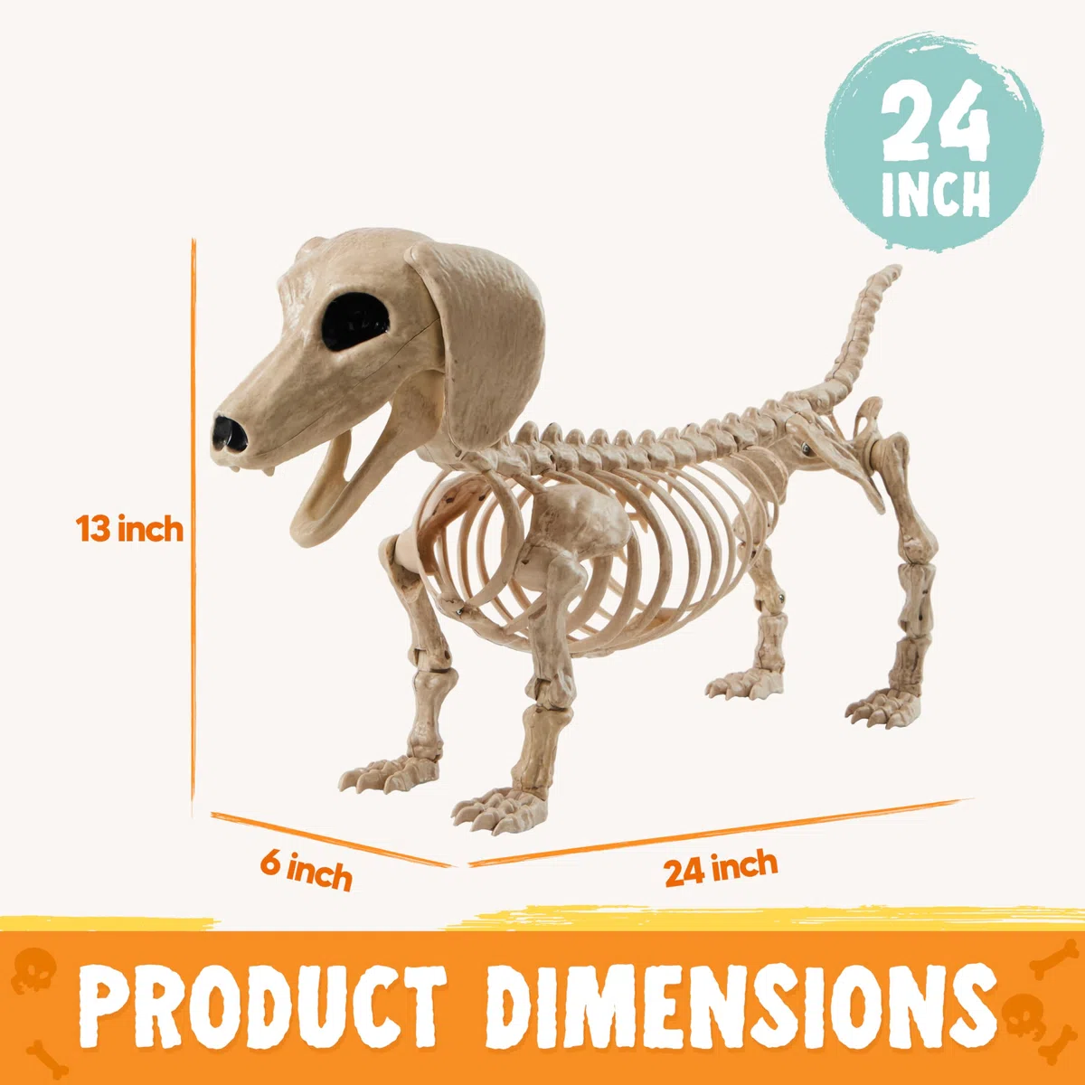 JOYIN Szkielet psa na Halloween, 61 cm, plastikowy szkielet zwierzęcy, dekoracje z możliwymi połączeniami, sceny cmentarne, nawiedzony dom, rekwizyt, dekoracja na imprezę, do wewnątrz i na zewnątrz
