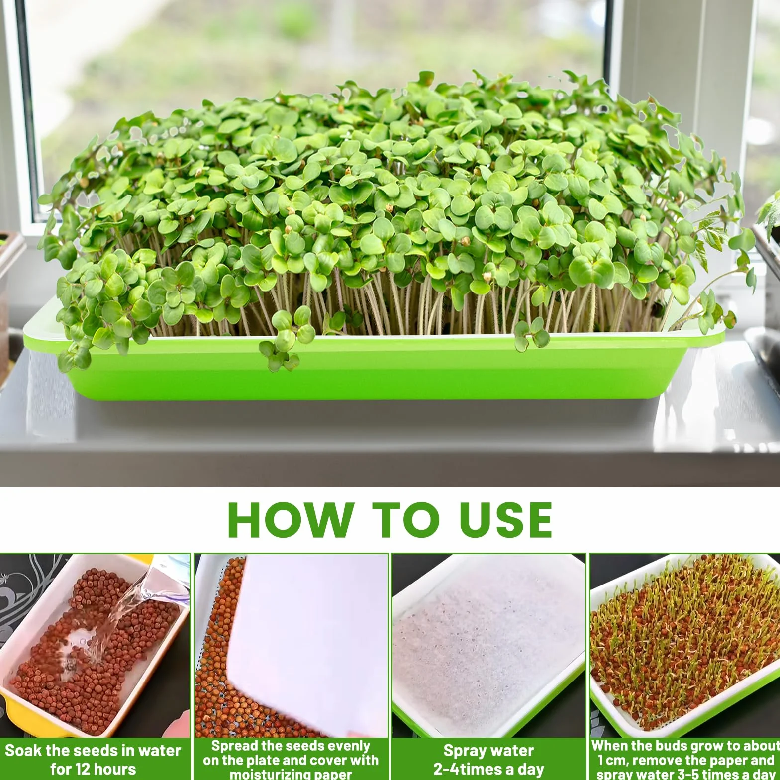 Miska do uprawy rzeżuchy, misa na kiełki, mikrogreens, miska na kiełki, misa na kiełki, Microgreen