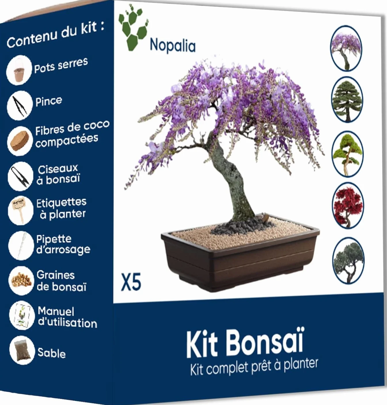 NOPALIA® Zestaw Bonsai do uprawy z nasionami, prezent dla dorosłych i dzieci