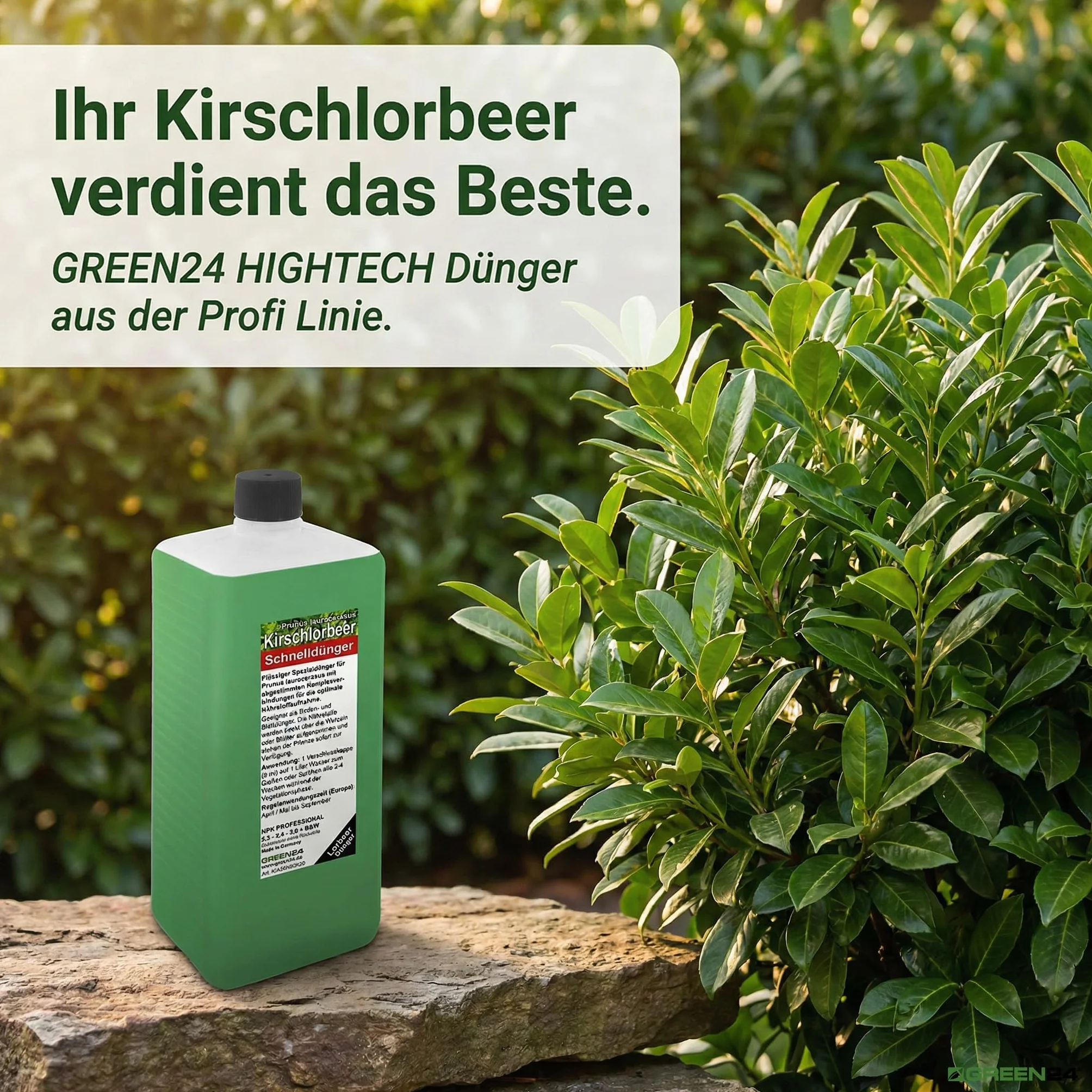 GREEN24 HIGHTECH nawóz do laurowego wiśniowego, profesjonalna linia 1 l, do nawożenia wielu roślin Prunus laurocerasus, Hightech płynny nawóz do żywopłotów laurowych i donic