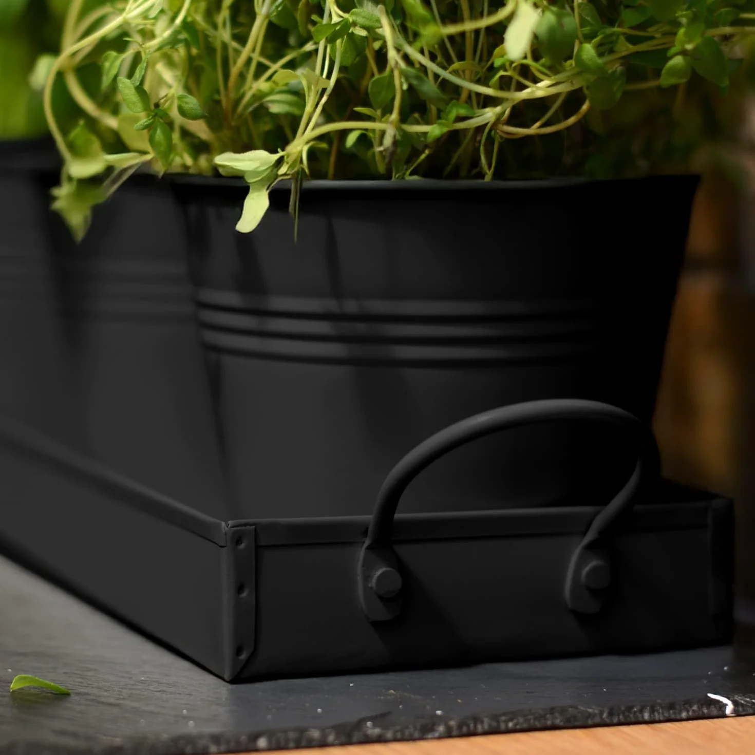 CKB LTD Zestaw 3 metalowych doniczek na zioła z tacą ociekową, tradycyjny parapet wewnętrzny, kolorowe pudełko na rośliny do kuchni, do uprawy własnych ziół do gotowania (czarne)