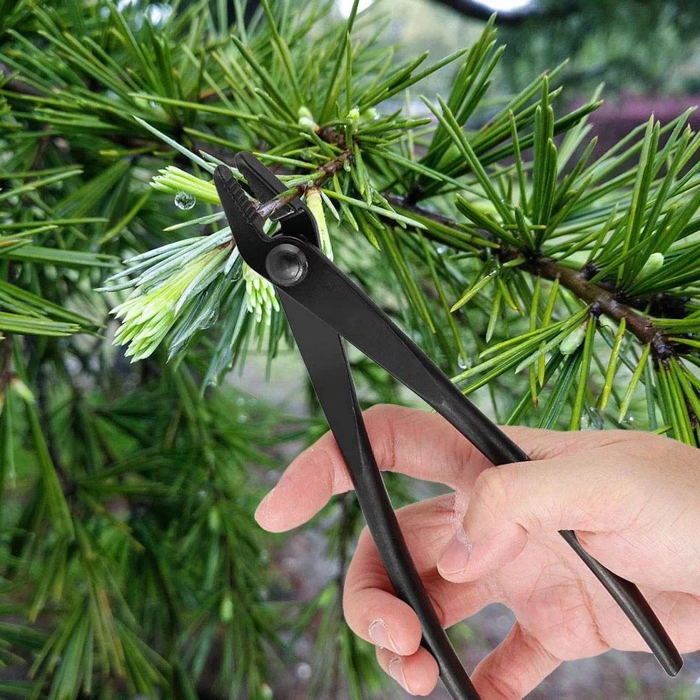 Szczypce Bonsai, 200 Mm Stal Manganowa Szczypce Do Drutu Szkoleniowego Bonsai Drut I Szczypce Jin Szczypce Szkoleniowe Jz Ergonomicznym Uchwytem Narzędzie Ogrodnicze, Czarne