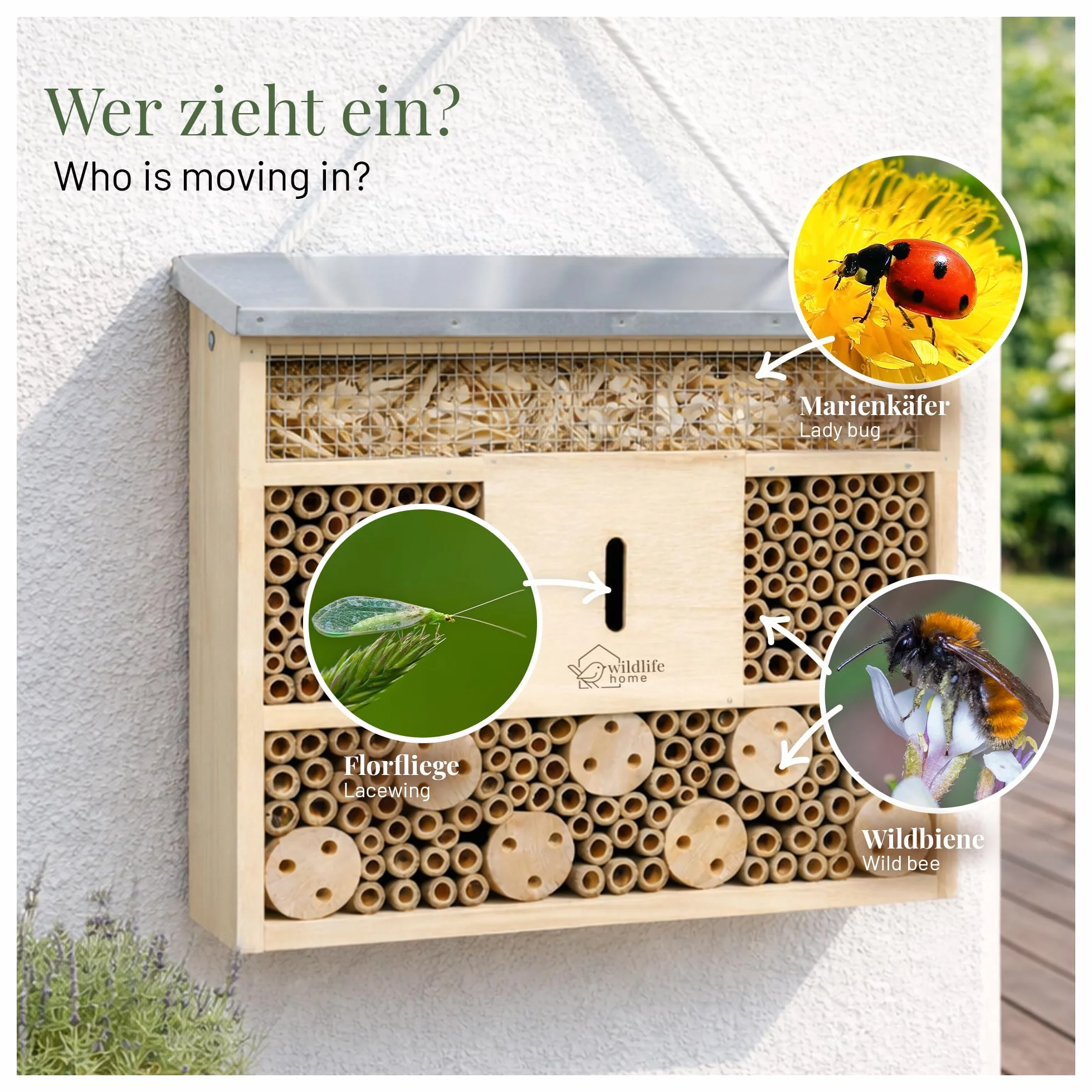 WILDLIFE HOME Hotel dla pszczół, domek dla owadów z metalowym dachem, nieobrabiany, z litego drewna dla pszczół, biedronek i muszek włoskich, domek dla owadów, pomoc dla lęgów, hotel dla owadów do