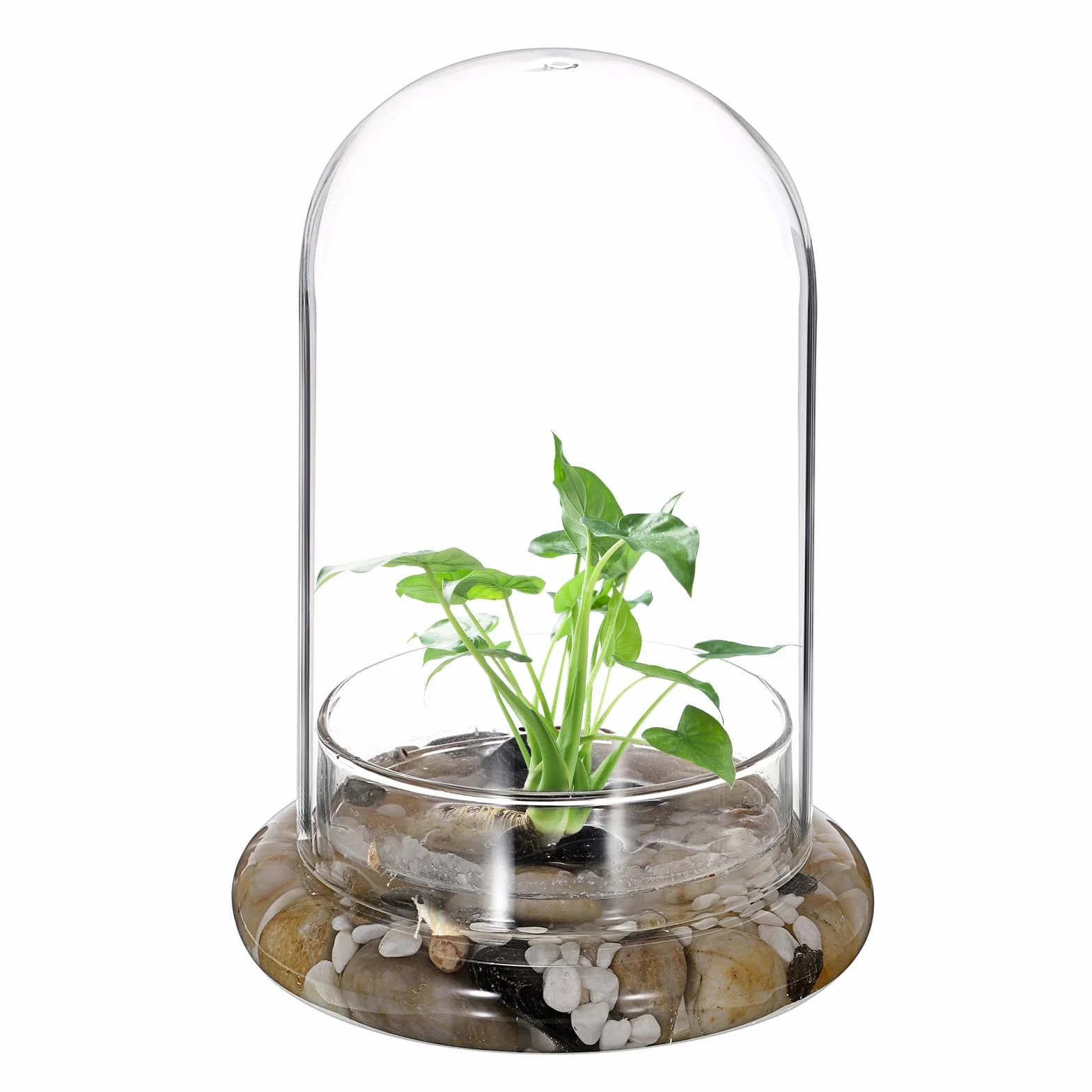 Szklana doniczka mini terrarium na sukulenty z otworem wentylacyjnym 3 mm