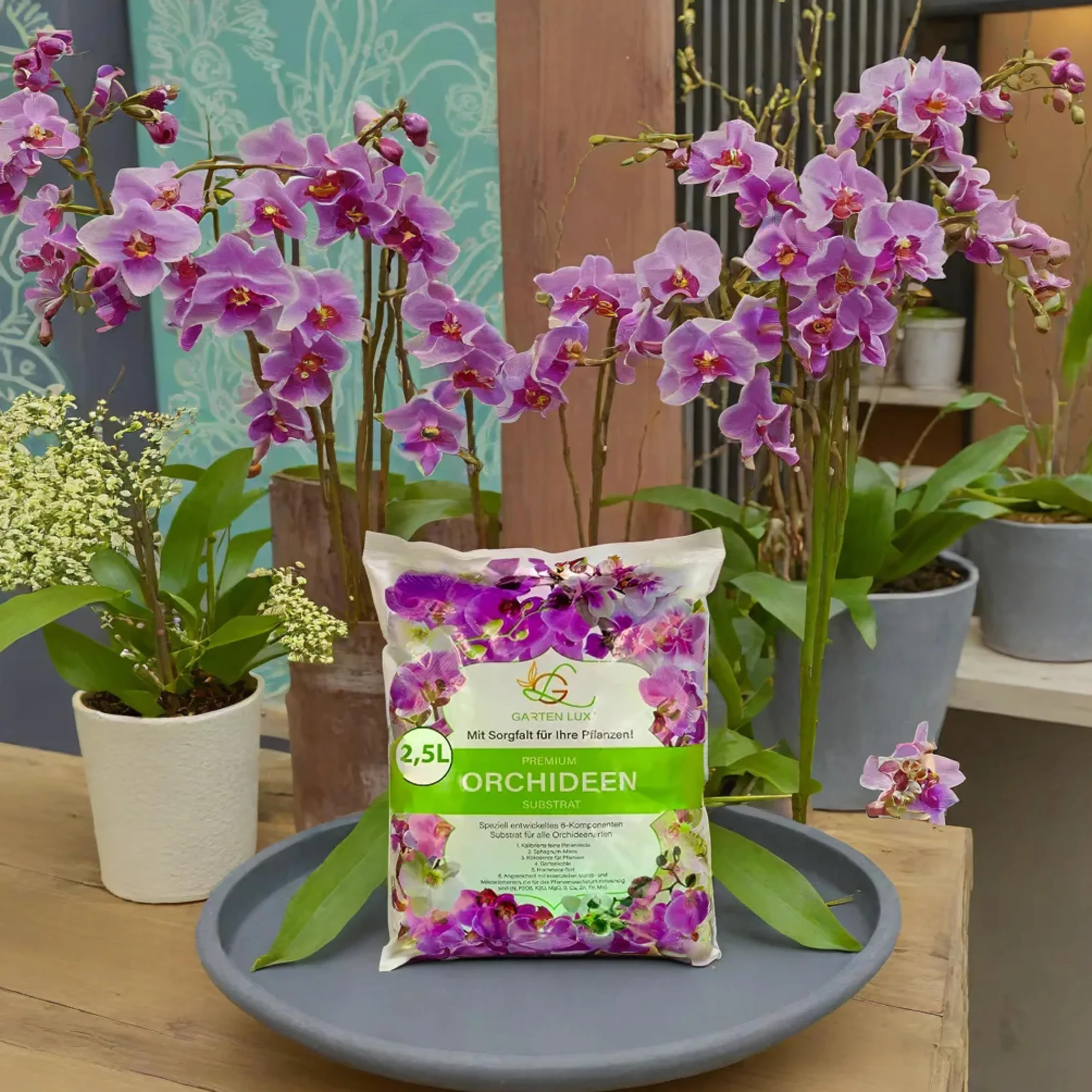 Garten Lux Ziemia do storczyków 2,5 l 6 komponentów substrat zdrowego wzrostu