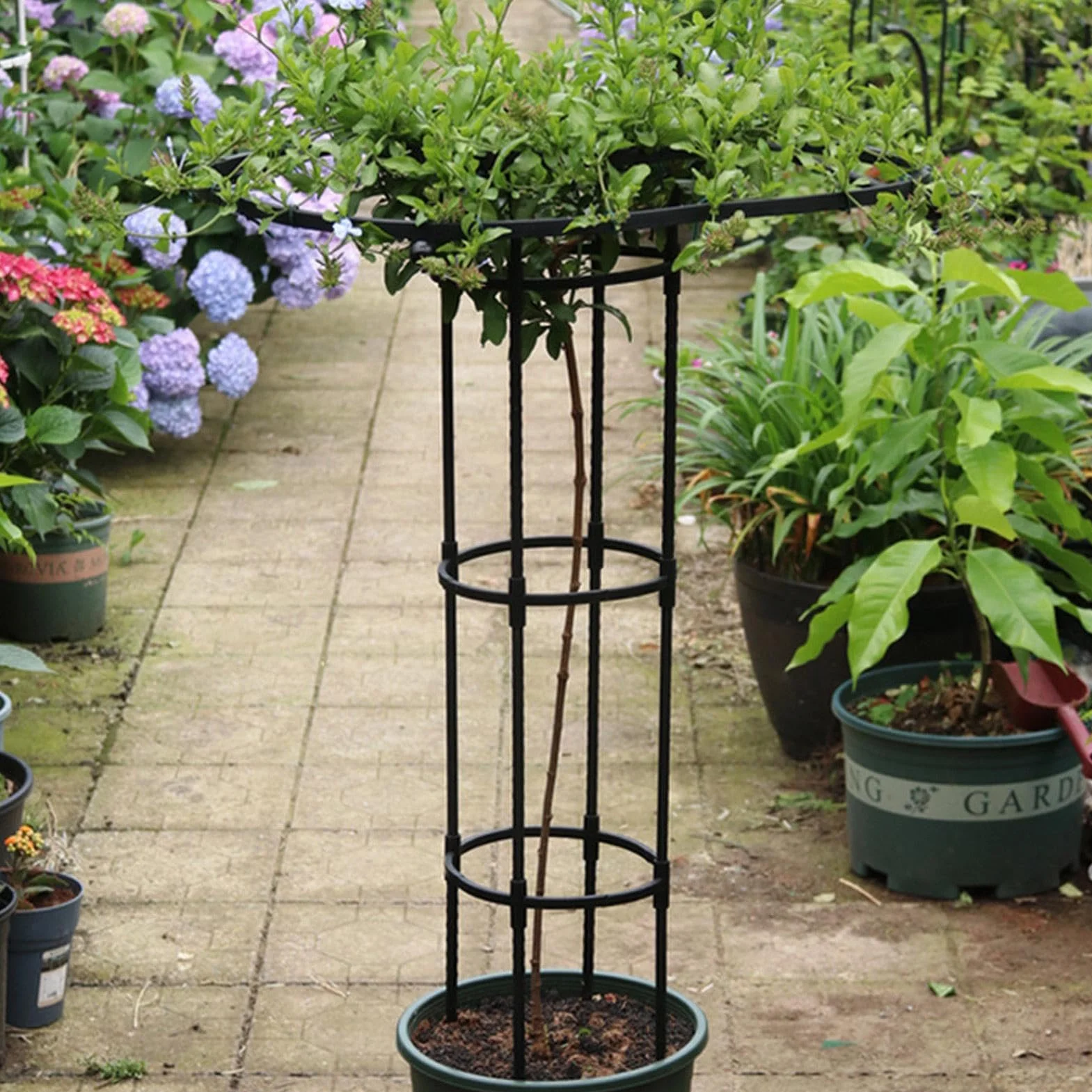 Pionowa metalowa kratka ogrodowa, 210 cm, metalowy parasol pnący wsparcie dla roślin, pionowa rama wieży typu parasola, wieża dla roślin pnących, wsparcie wspinaczkowe, kratka ogrodowa do roślin