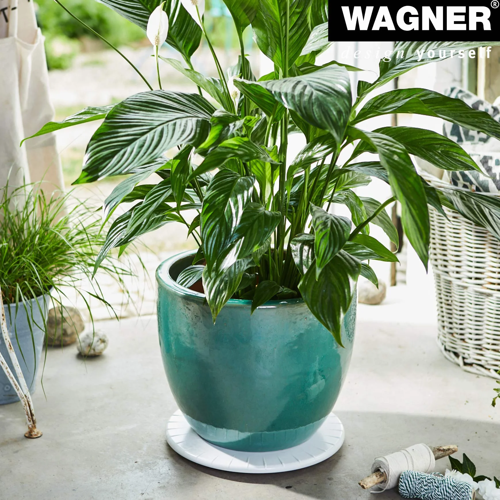 Wagner Ultra FLAT 20045101 wałek do roślin o średnicy 30 x 3 cm, do użytku wewnątrz z lekkimi łożyskami kulkowymi, wyjątkowo płaski wałek z tworzywa sztucznego ABS, biały, wodoodporny, nośność 100 kg