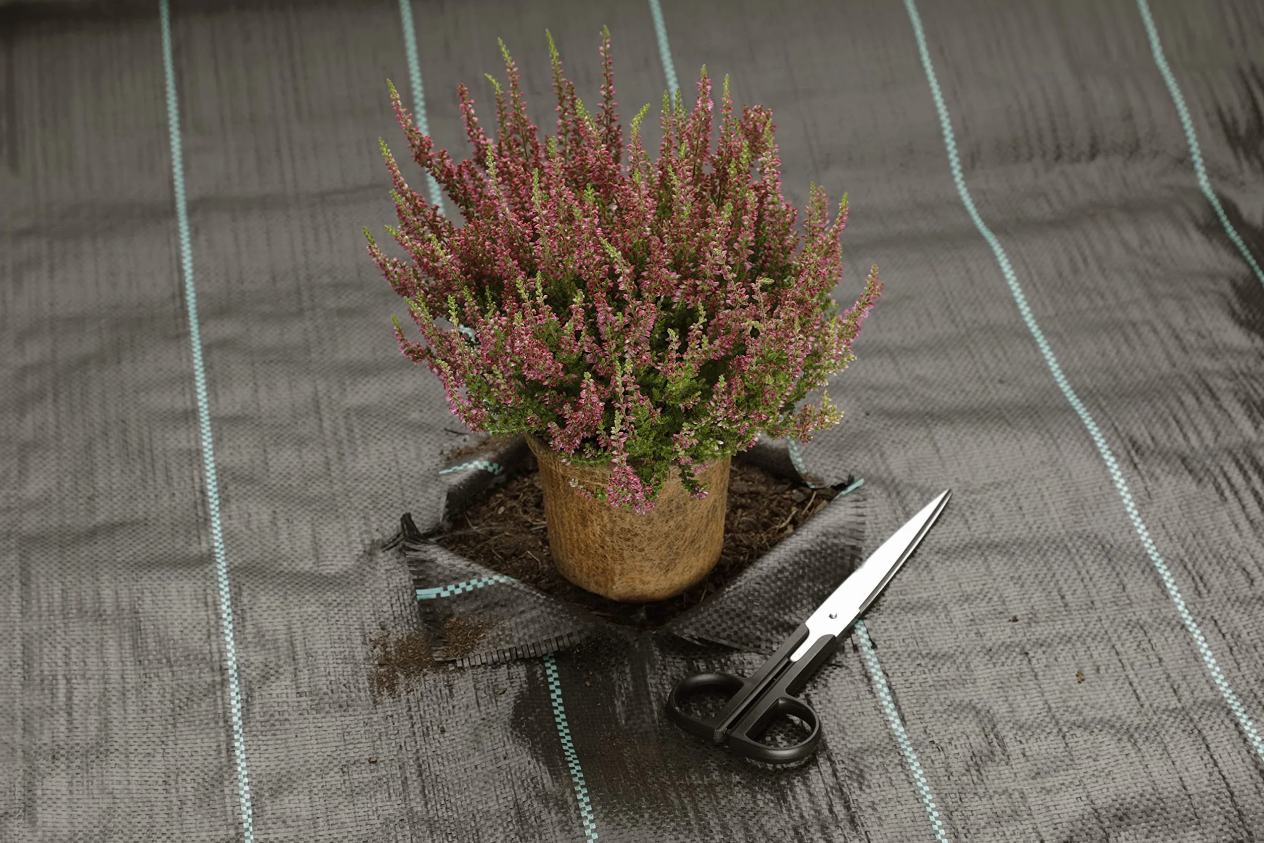 GardenMate Agrowłóknina Ściółkująca 2m x 20m 100g/m² Ochrona UV