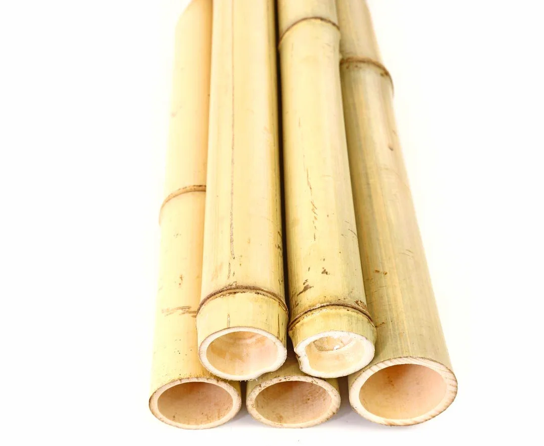1 sztuka Moso rura bambusowa 200 cm, żółtawa o średnicy 4,5-6 cm – drążek bambusowy, wybielony, długość 2 m