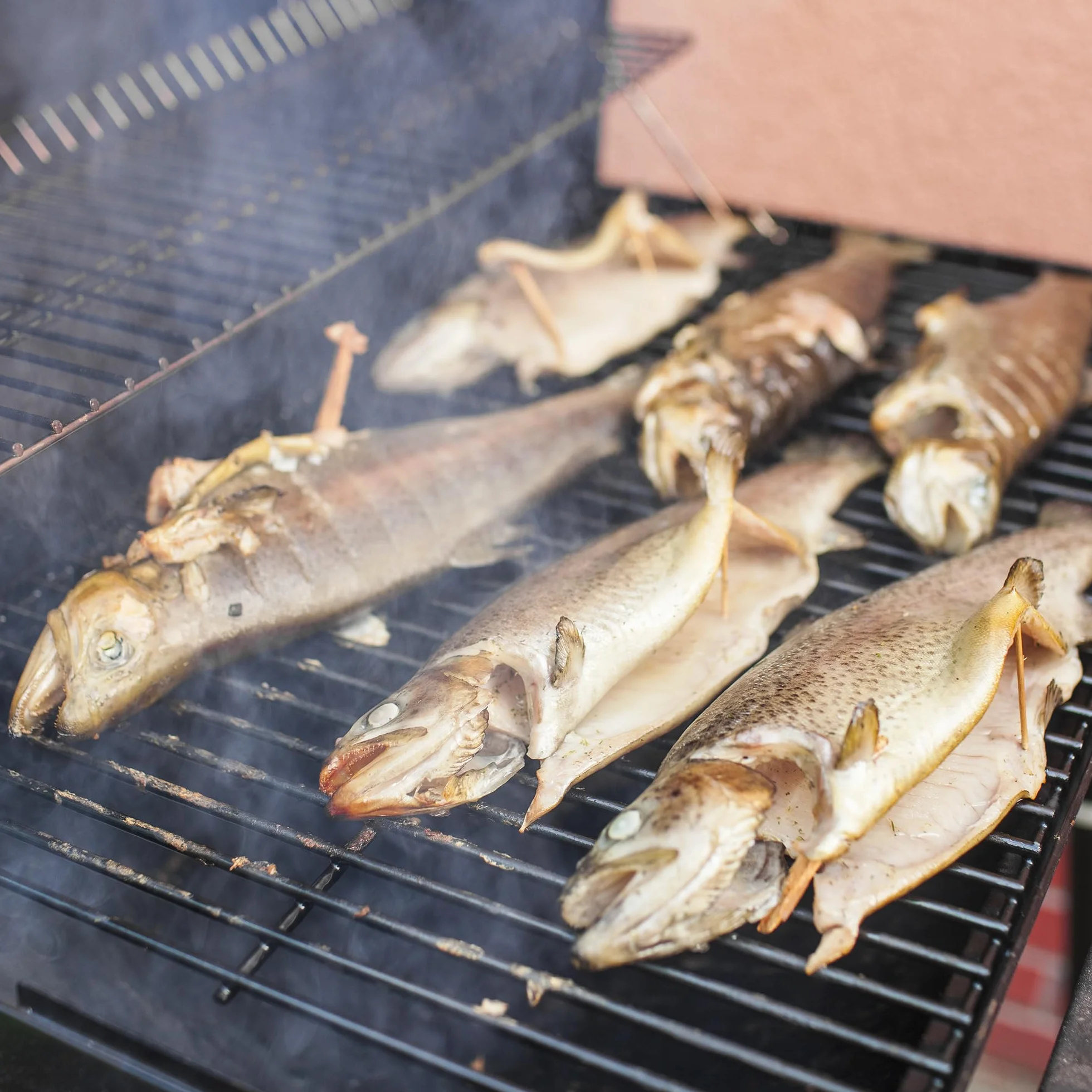 Browin 780820 wióry drzewne do wędzenia i grillowania – zestaw: dąb – 600 g, drzewo wiśniowe – 450 g, jabłoń – 450 g, zestaw naturalnych wiórów do wielu zastosowań