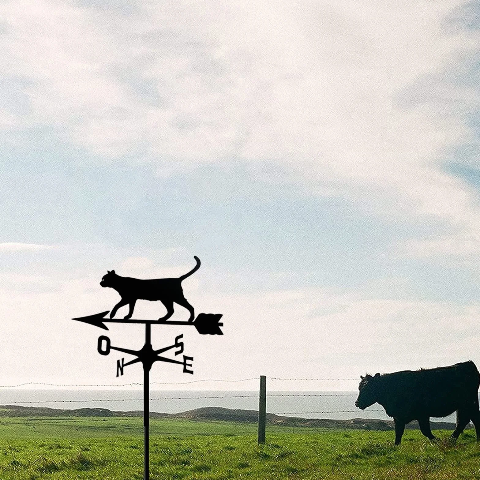 Metal Stainless Steel Cat Weathervane Wind Direction Indicator Garden Yard Ornament