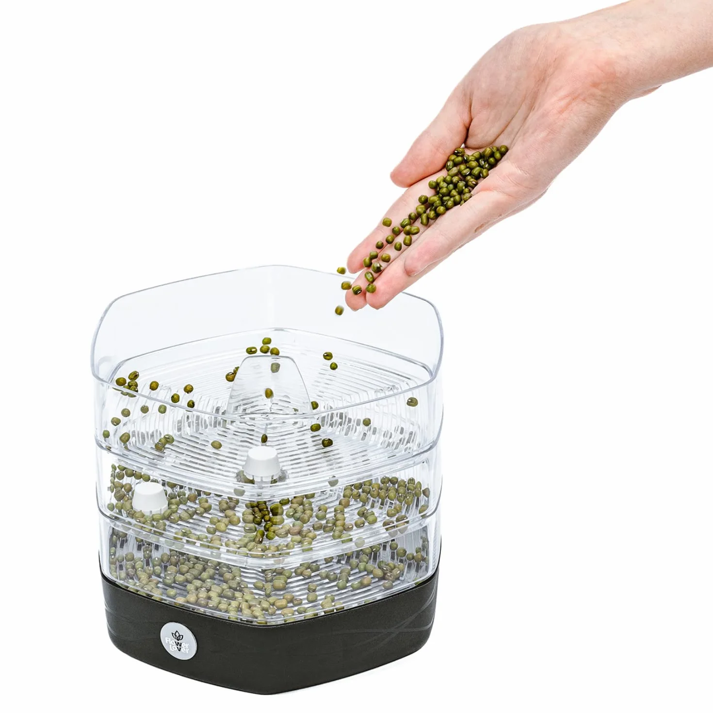 Zestaw Tac do Kiełkowania z 3 Poziomami, ø 17 cm - Wieża do Kiełków, Rzeżuchy, Mikrogreenów - Designerskie Sito z Wysokiej Jakości Tworzywa Sztucznego (Antracyt)
