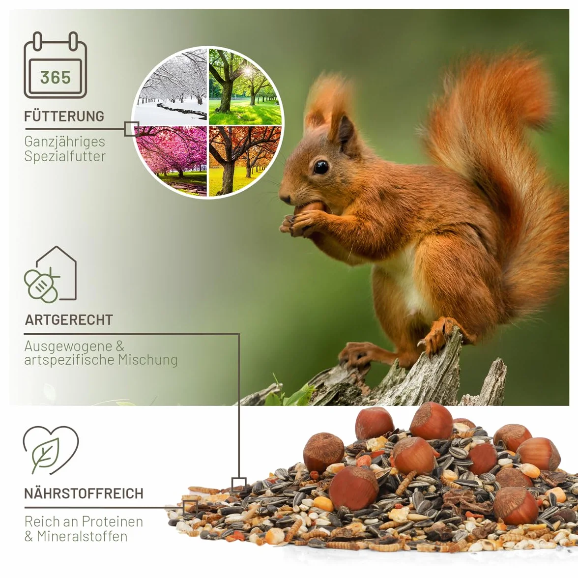 wildtier liebe Odpowiednia karma dla wiewiórek 2 kg dla wiewiórek i wiewiórek pasmowych I karma całoroczna wraz z ekstra deserem wiewiórki 50 g I karma wiewiórki, wiewiórki