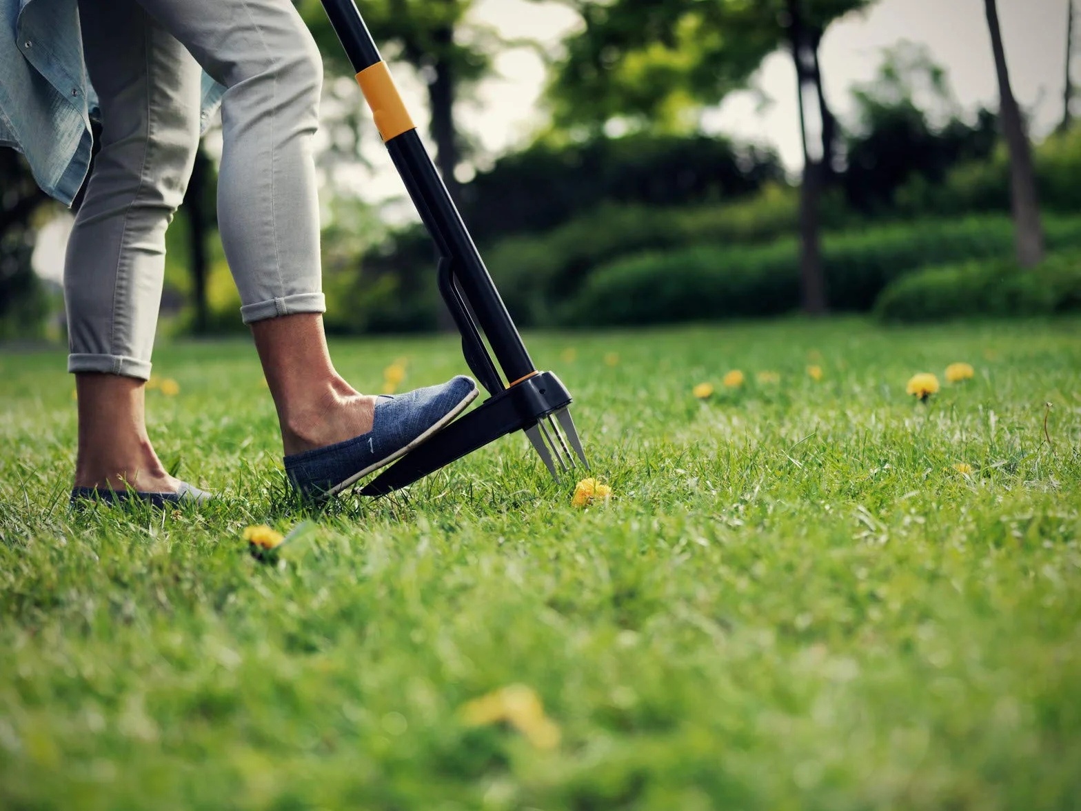 Fiskars Xact Chwastownik