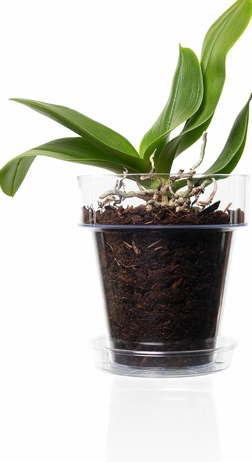 Przezroczysty plastikowy wazon na orchideę z otworami drenażowymi i spodkiem (5, Ø 16 cm)
