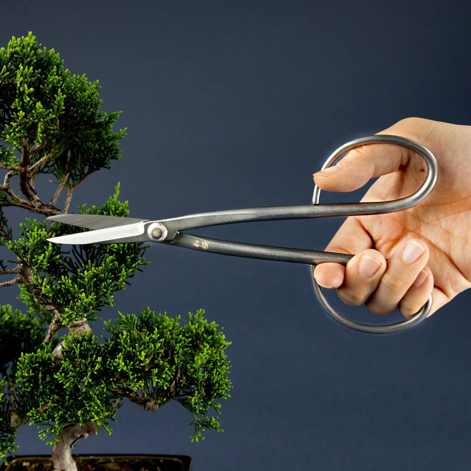 Wazakura Yasugi nożyczki bonsai ze stali nierdzewnej, 210 mm, wyprodukowane w Japonii, japońskie narzędzia ogrodnicze, Yasugi Ashinaga