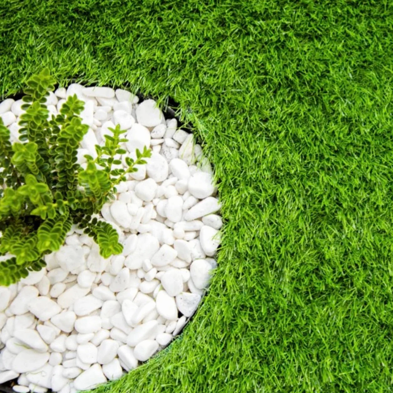 GARDENIX LineBORDER obrzeże trawnikowe z tworzywa sztucznego, 20 kotew, długość 10 m, wysokość 6 cm, czarne