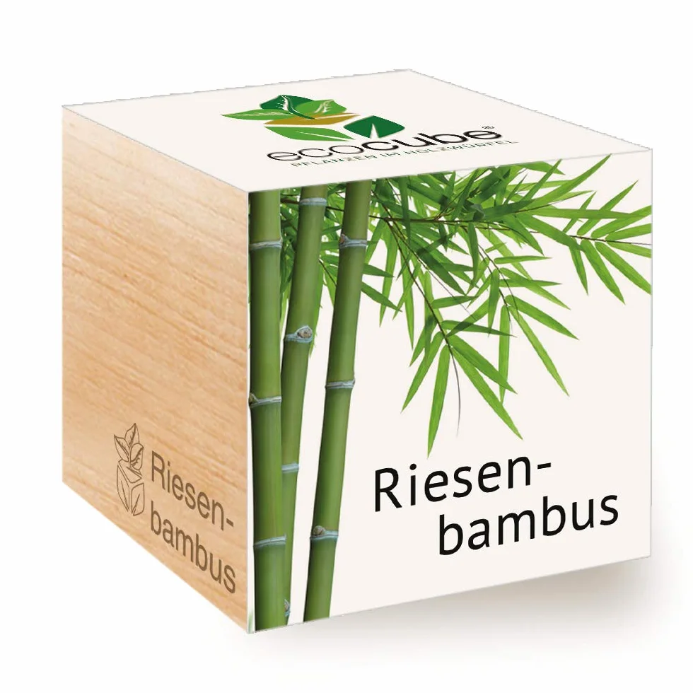 Feel Green Ecocube Zestaw do Uprawy, Wielokolorowy, 1 Zestaw