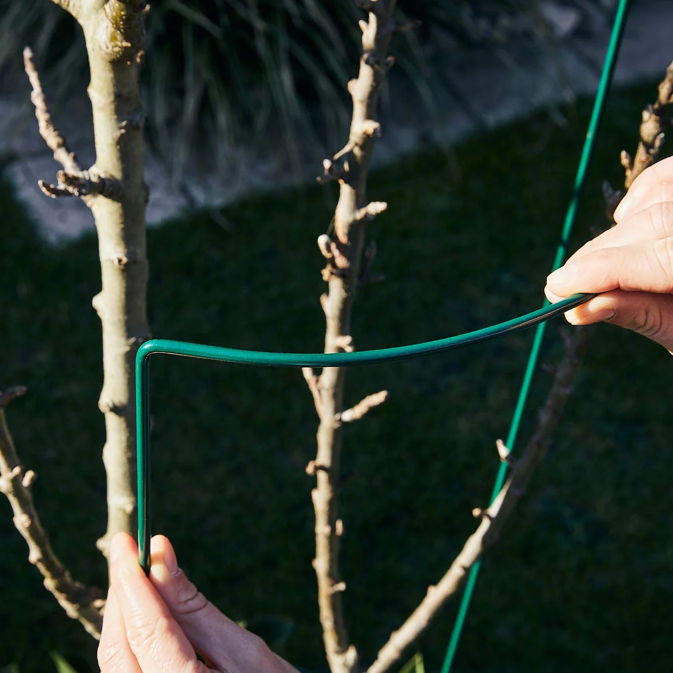 GardenGloss Podpórki Do Krzewów Ze Stali Powlekanej (10 Sztuk) - Uchwyt Na Byliny Półokrągłe 100 cm x 40 cm - Podpórka Pod Kwiaty Do Hortensji I Róż - Podpórka Do Roślin Ze Stali