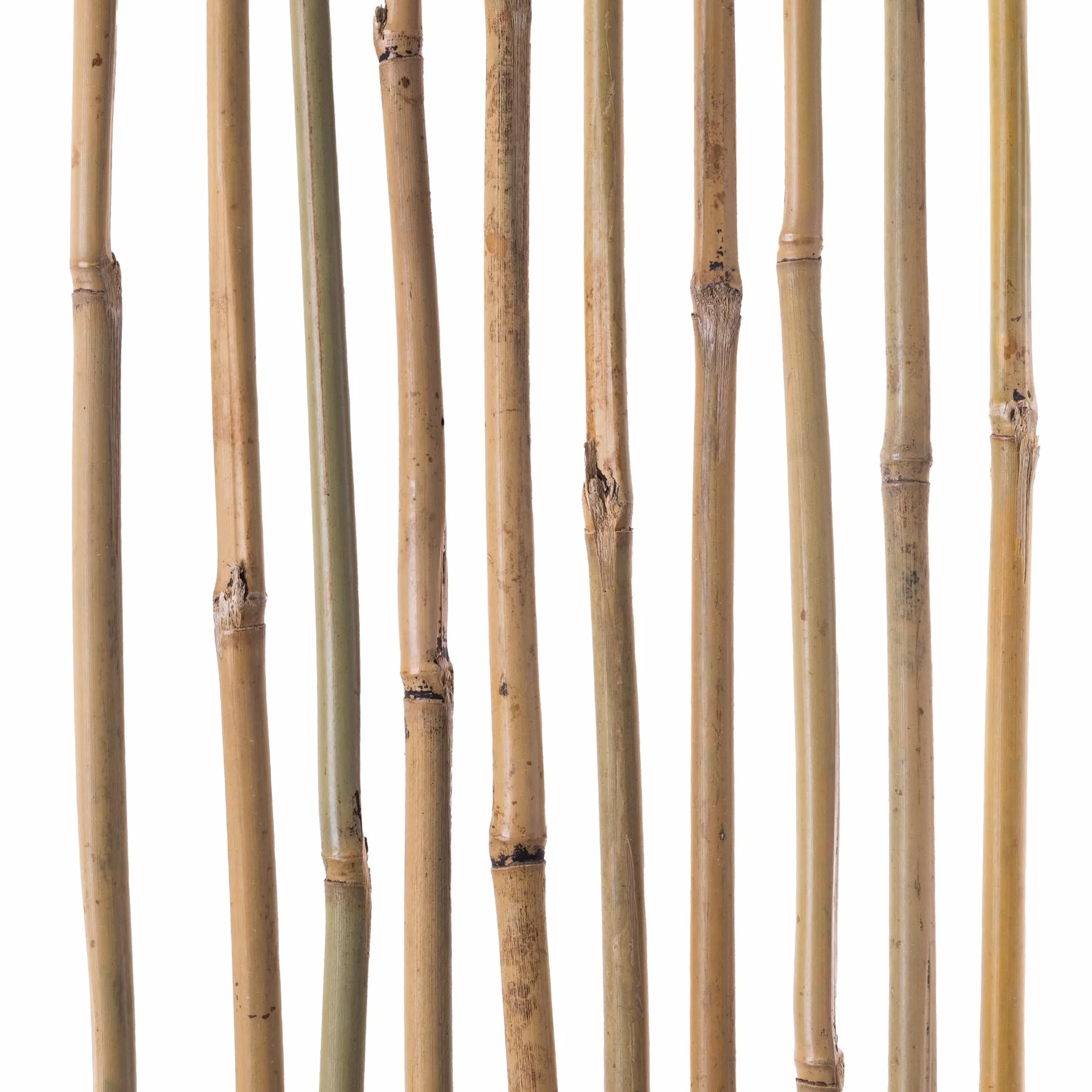 KADAX Drążki bambusowe 120 cm x 12/14 mm, zestaw 50 sztuk, drążki bambusowe jako podpora dla roślin pomidorowych i pnących, podpórka do roślin pnących