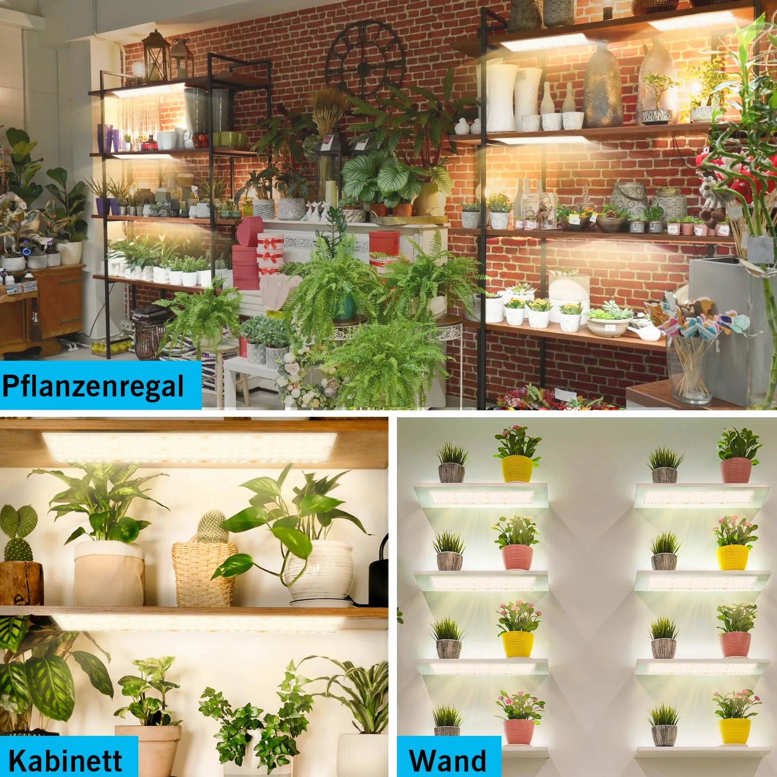 FIVAVA Lampa LED do Uprawy Roślin, Pełne Spektrum, 135 Diod LED x 4 Szt., Światła dla Roślin Pokojowych z Programatorem Czasowym, 10 Rodzajów Jasności