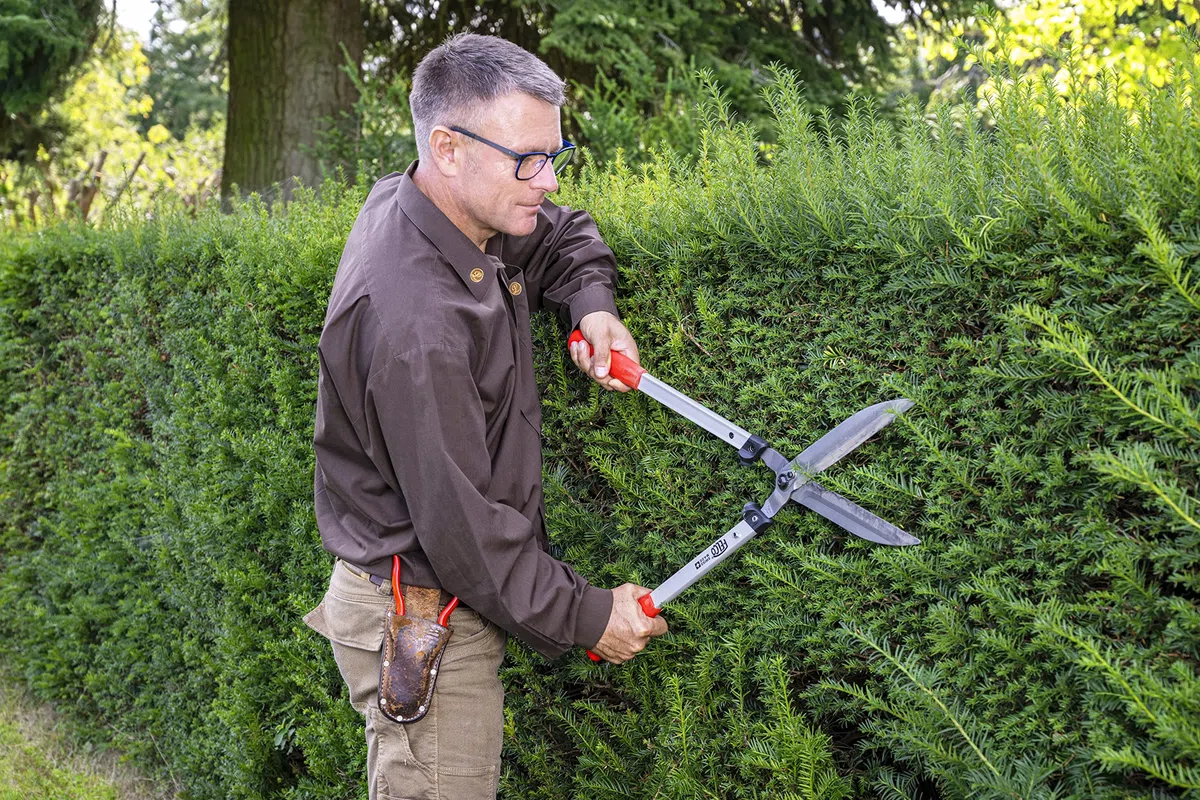 Felco 250-63 Nożyce do żywopłotu 63 cm, czerwone/szare