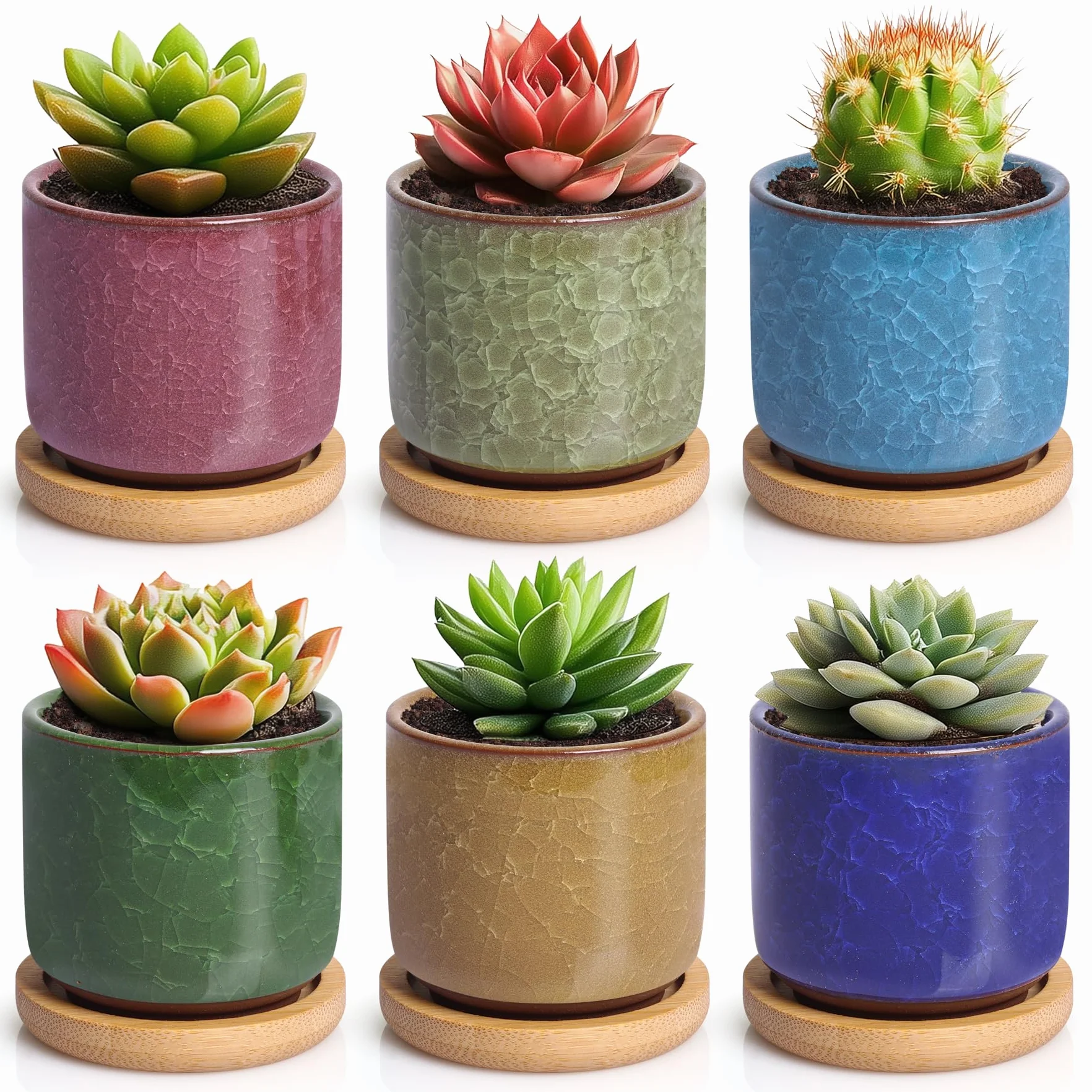 Ceramiczne Mini Doniczki T4U 6,3 cm Ice Crack, Zestaw 6 Kolorów z Podstawką
