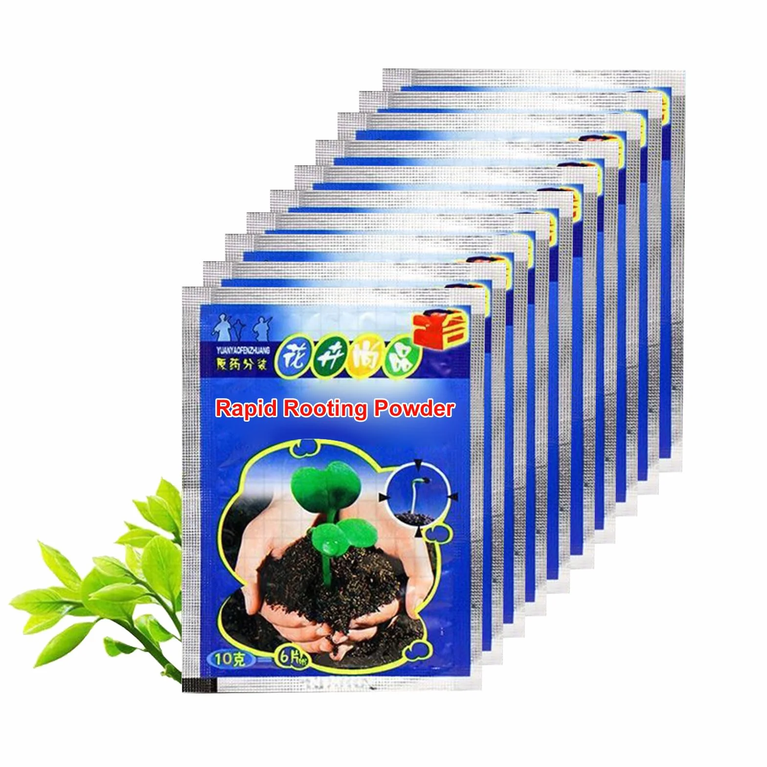 Proszek do ukorzeniania sadzonek 100 g stymulator korzeni roślin