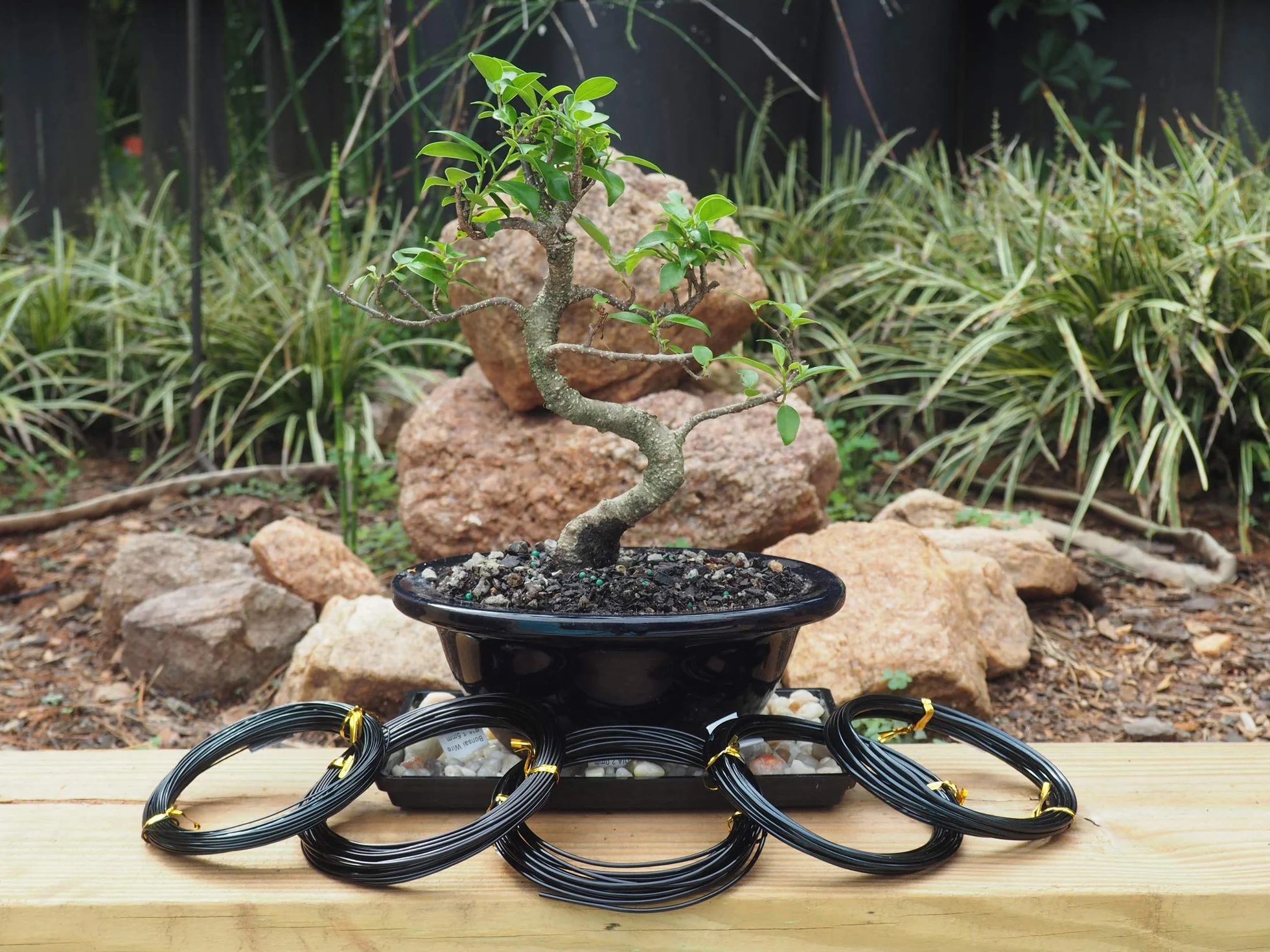 Grow A Bonsai drzewo anodowane aluminium bonsai drut treningowy 5-częściowy zestaw startowy - 1,0 mm, 1,5 mm, 2,0 mm, 2,5 mm, 3,0 mm (łącznie 147 stóp) (5 rozmiarów, czarny)