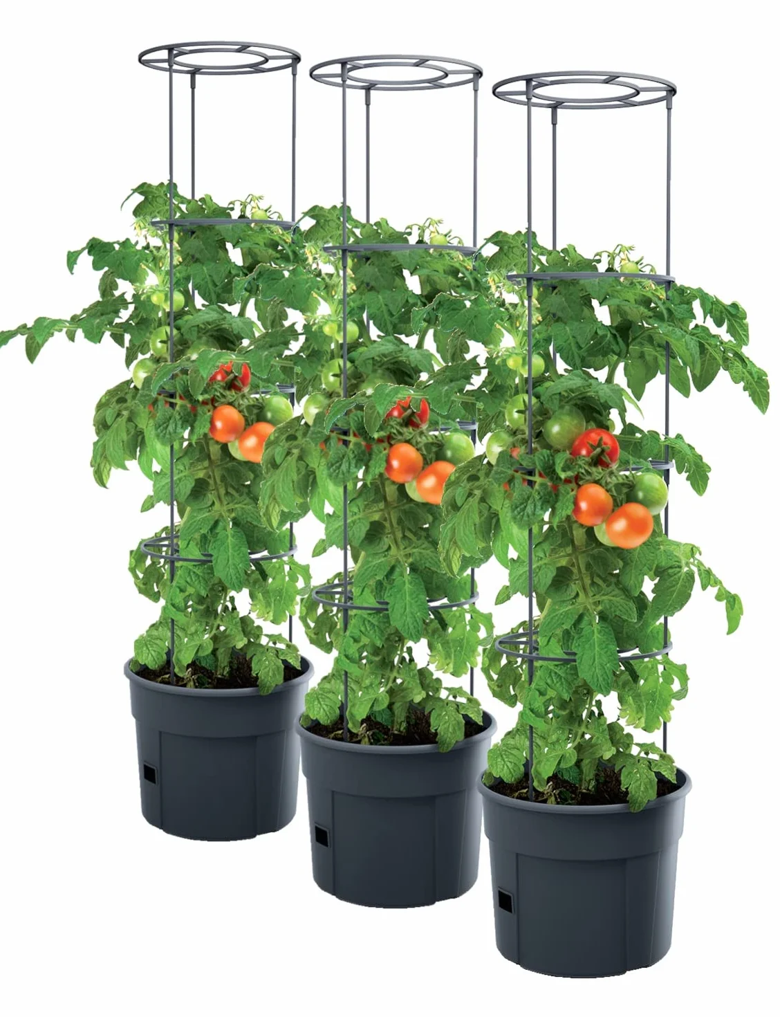 3x Doniczka do uprawy pomidorów 12L – 295 x 1152 mm – Tomato Grower | Donica z podporą do pomidorów, ogórków, fasoli, winogron