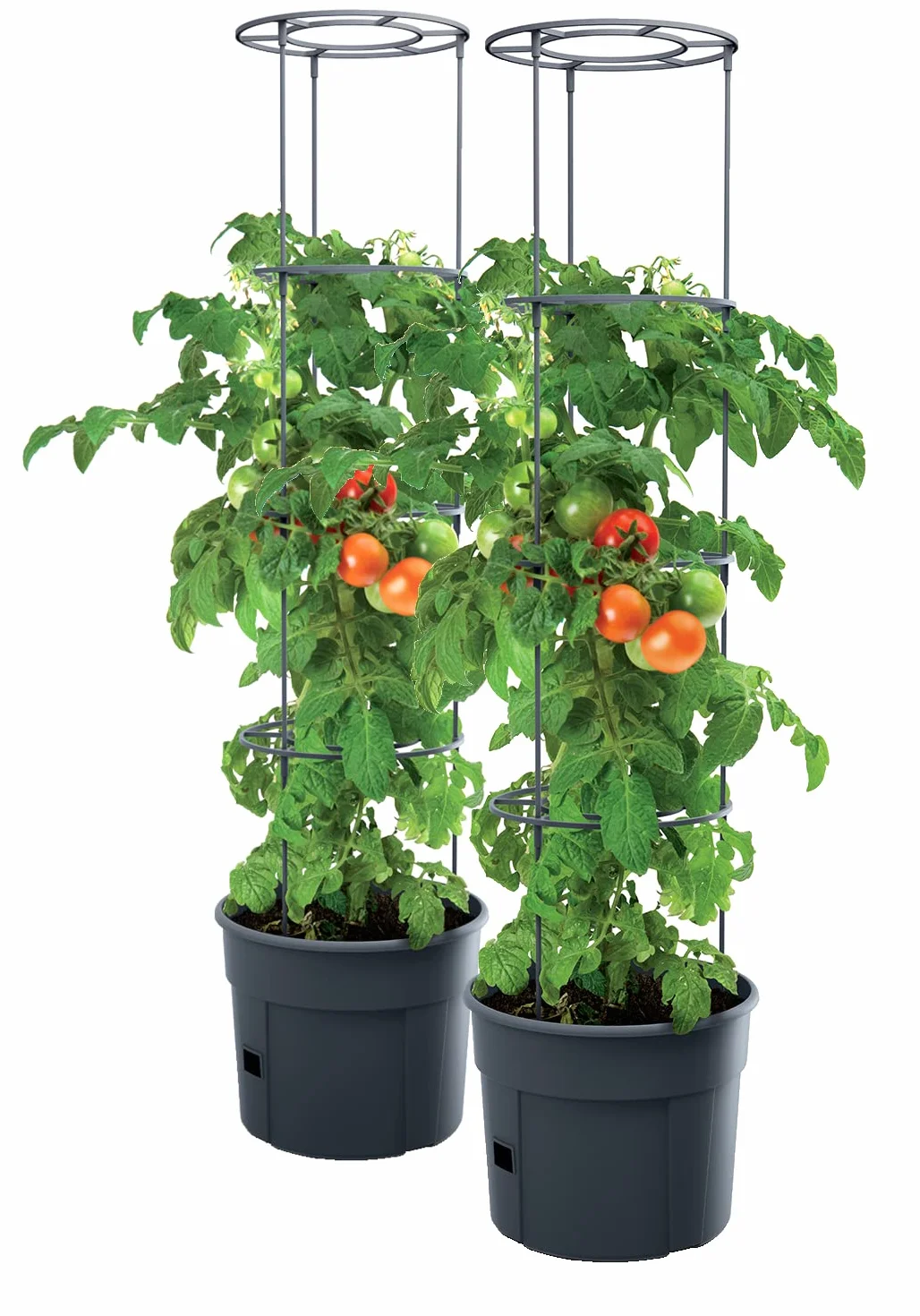 2x Doniczka do uprawy pomidorów 28L – 392 x 1530 mm – Tomato Grower | Donica z podporą do pomidorów, ogórków, fasoli, winogron