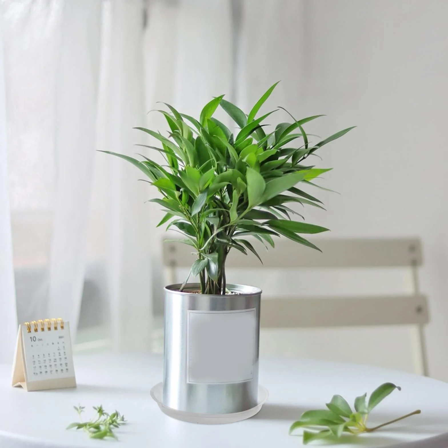 16 podstawek pod doniczki, okrągłe, plastikowe, podstawki na kwiaty, okrągłe, 12 cm, 16 cm, 18 cm, 22 cm, do użytku wewnątrz i na zewnątrz, z 24 etykietami