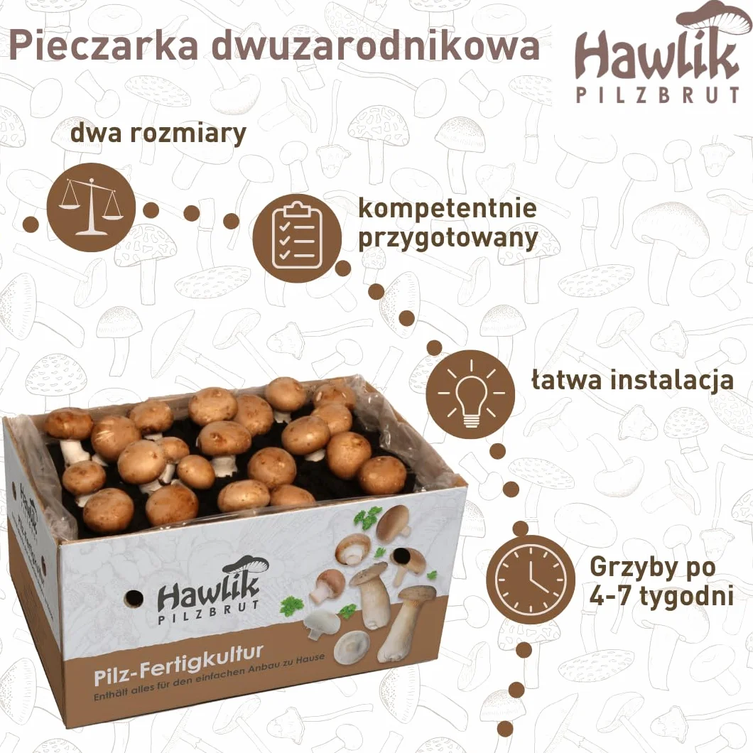 Hawlik Pilzbrut grzybnia - małe kamienne grzyby kultura grzybów do samodzielnej uprawy - zestaw do uprawy grzybów - uprawa grzybów to dziecinnie prosta - zestaw do uprawy grzybów w domu, Klein Braun