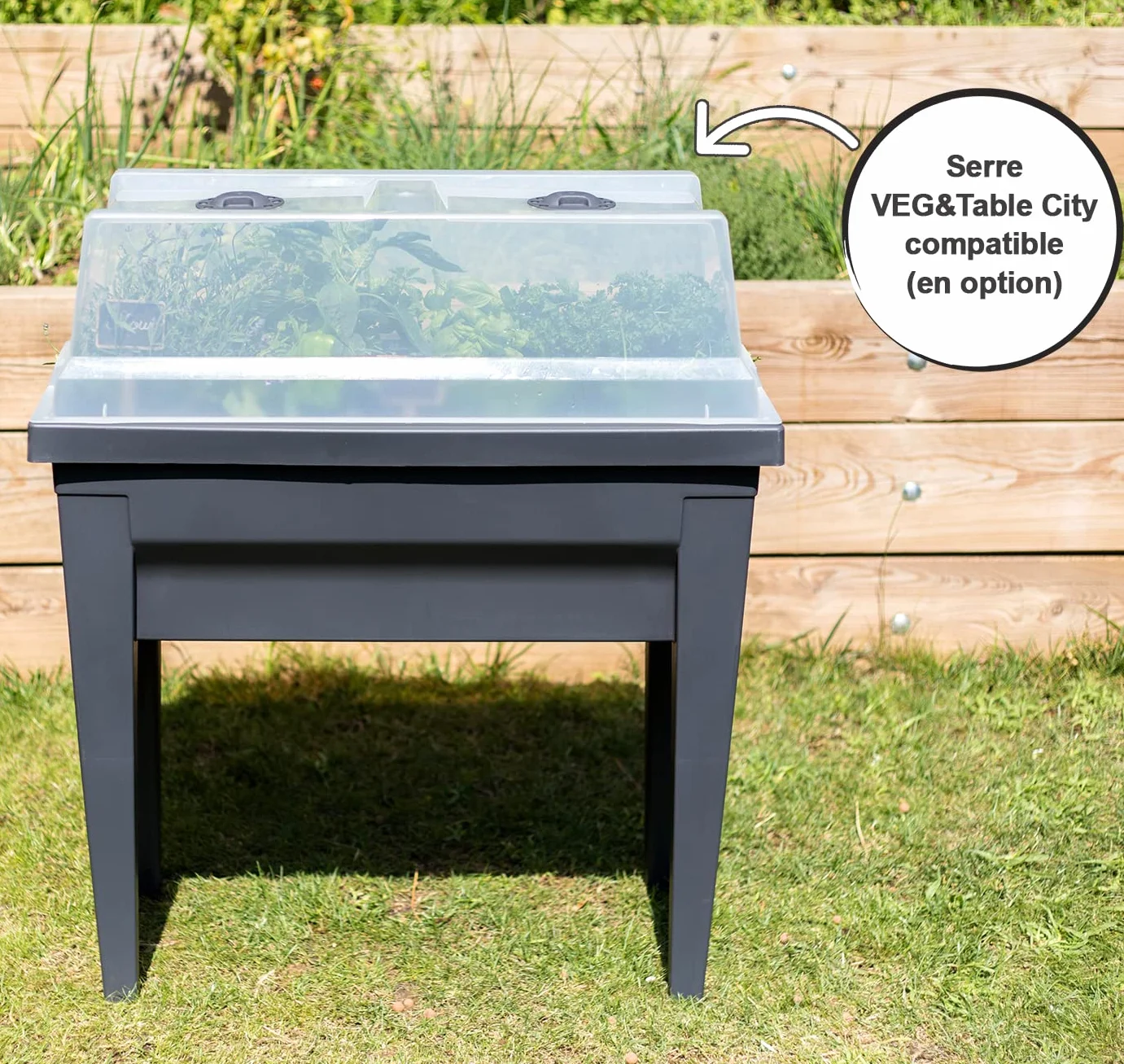EDA PLASTIQUES Raum Potager Vegetable City 13923 G. ANT CX4 antracyt 76 x 38,5 x 68 cm