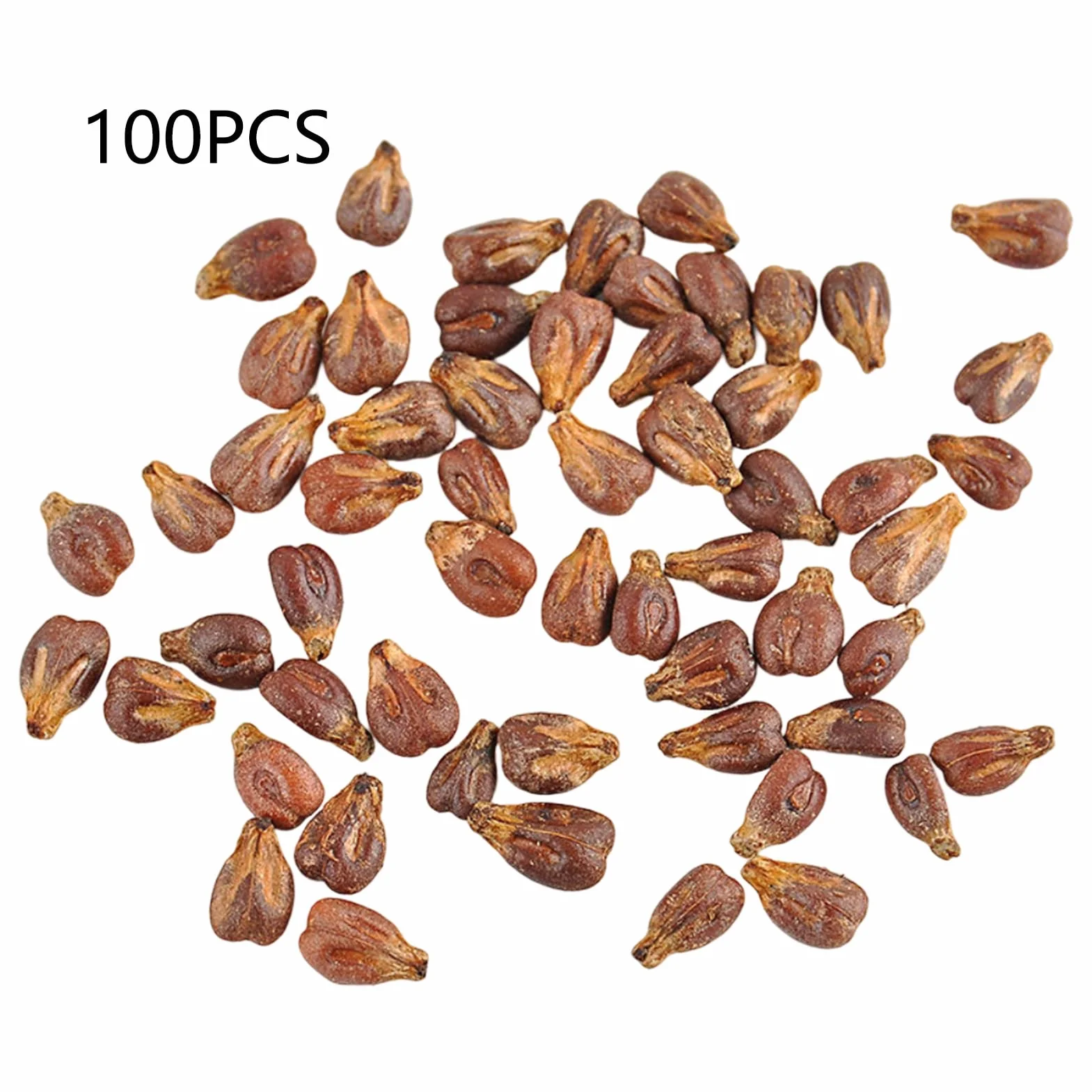 Nasiona winogron, 100 szt. Nasiona winogron do sadzenia nasion do sadzenia warzyw i owoców, słodkie nasiona owoców bez GMO Shine-Muscat Grape Home Garden Hydroponic Seeds Posiew