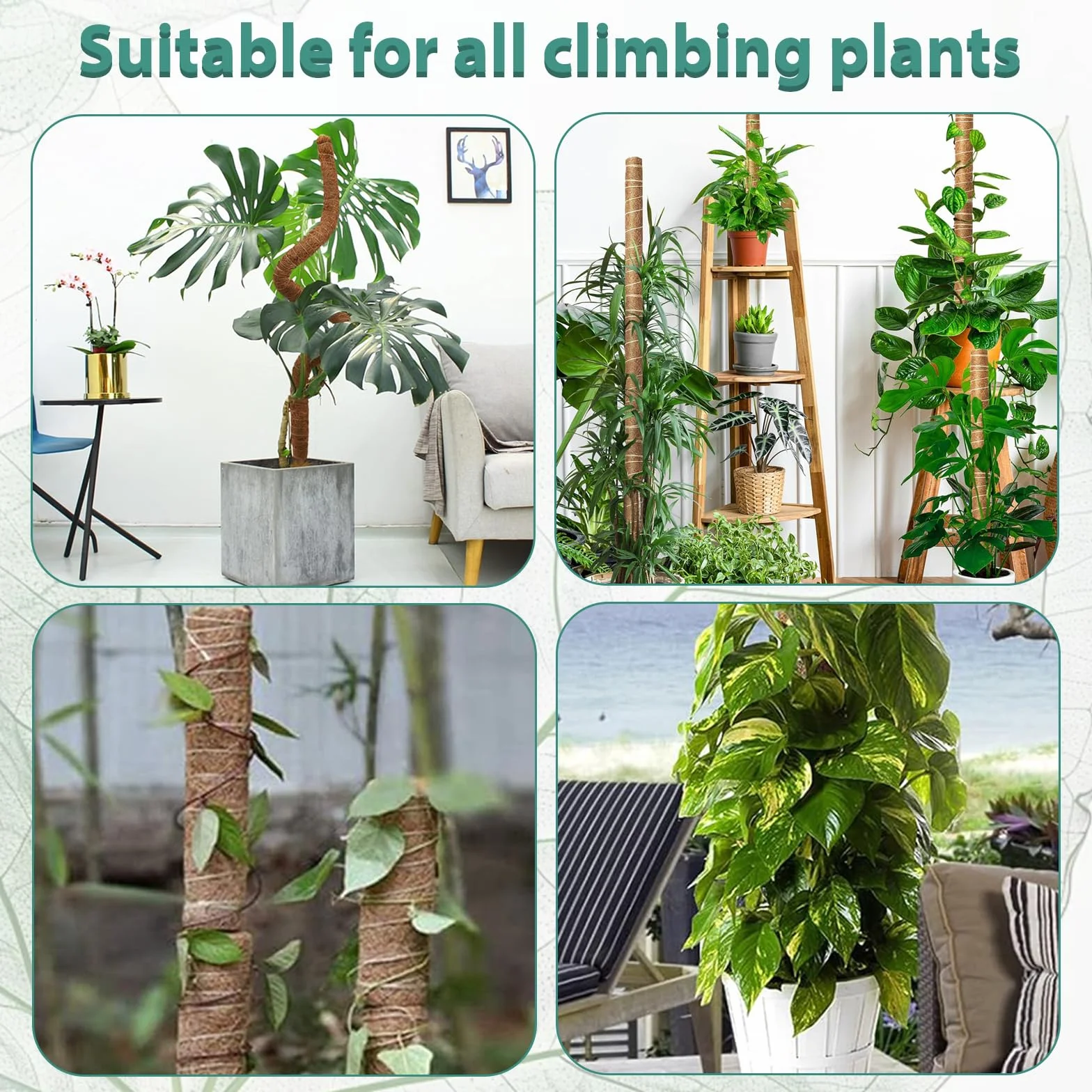 Podpórka do roślin, 120 cm, do monstery, giętka podpora roślin do użytku w pomieszczeniach, pomoc przy chorobie monstera, giętka, pomoc we wspinaniu się roślin, pnącze do góry, do roślin pnących