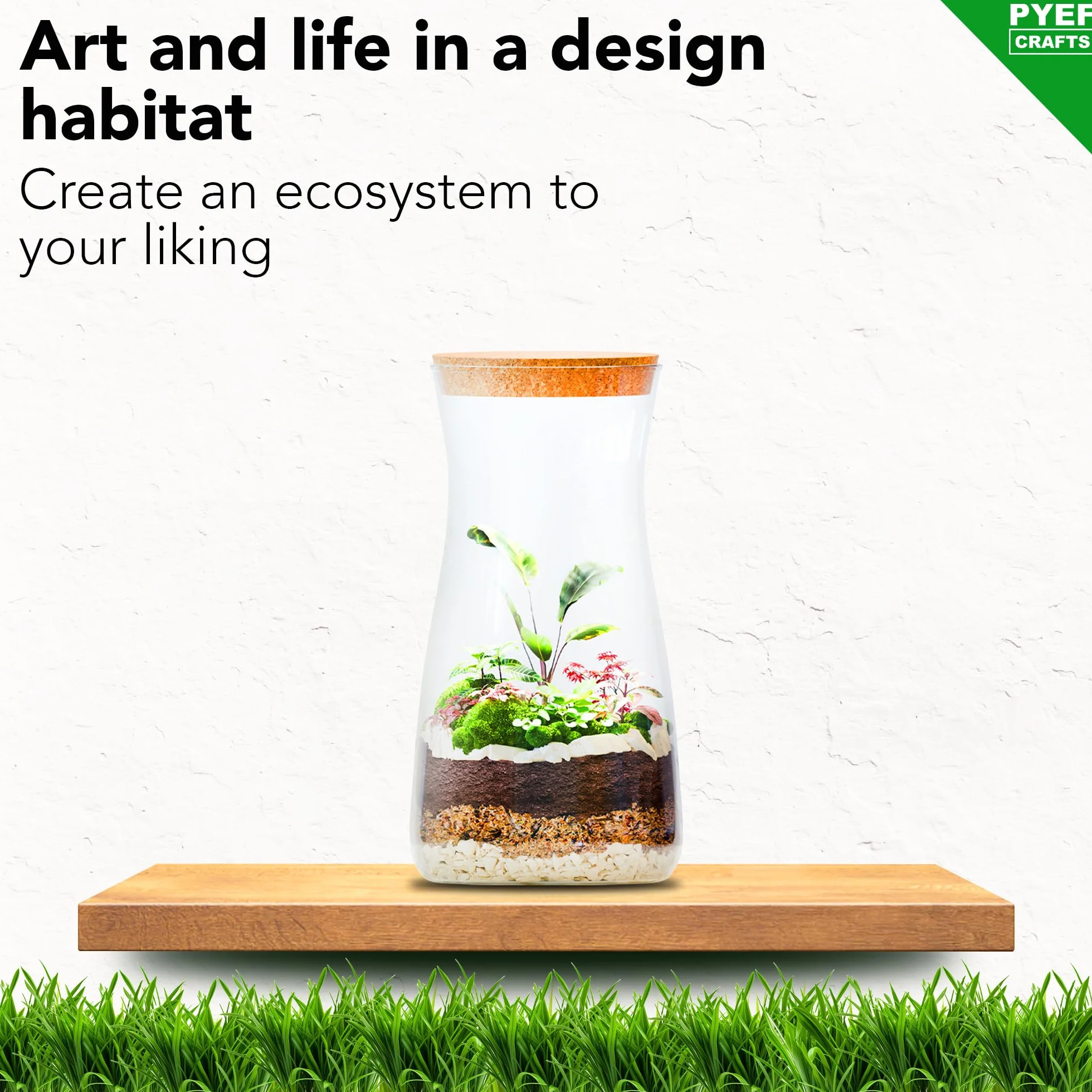 Zestaw do terrarium DIY dla roślin, zestaw startowy do ogrodu w butelce, samowystarczalny ekosystem, zestaw do terrarium ze słoikiem, mchem, ziemią, węglem aktywowanym, kamieniami i narzędziami (bez