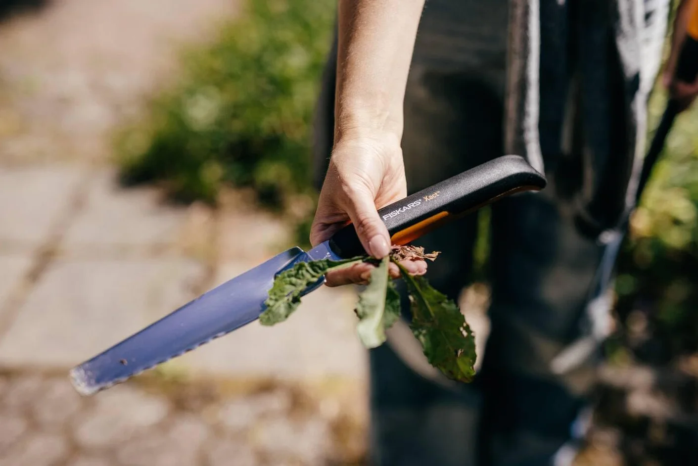 Fiskars Xact Chwastownik Ręczny 39.6 cm Czarny