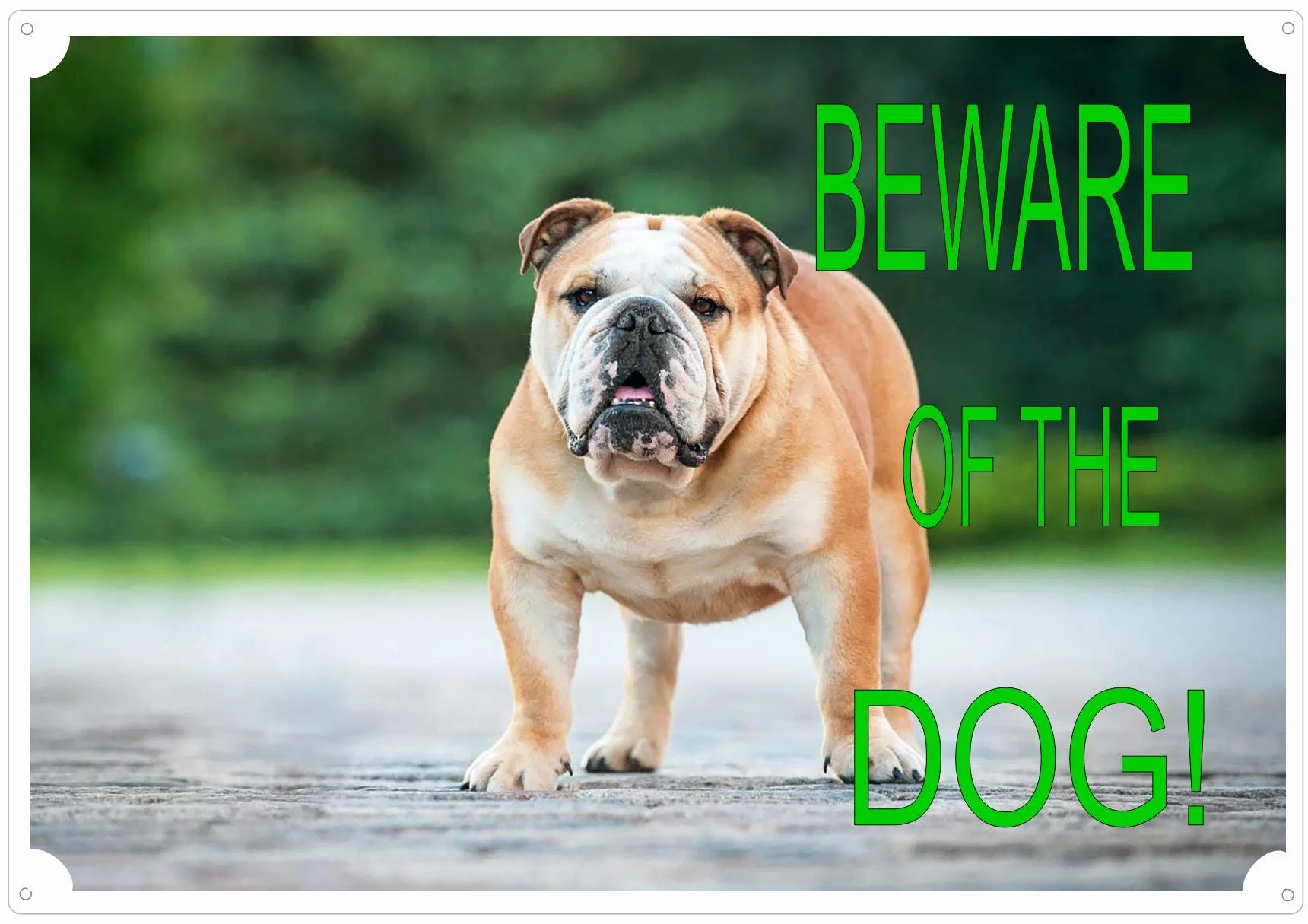 Tabliczka na zewnątrz "Beware of The Dog" na bramę lub ogrodzenie buldog angielski zdjęcie 30 x 21,5 cm
