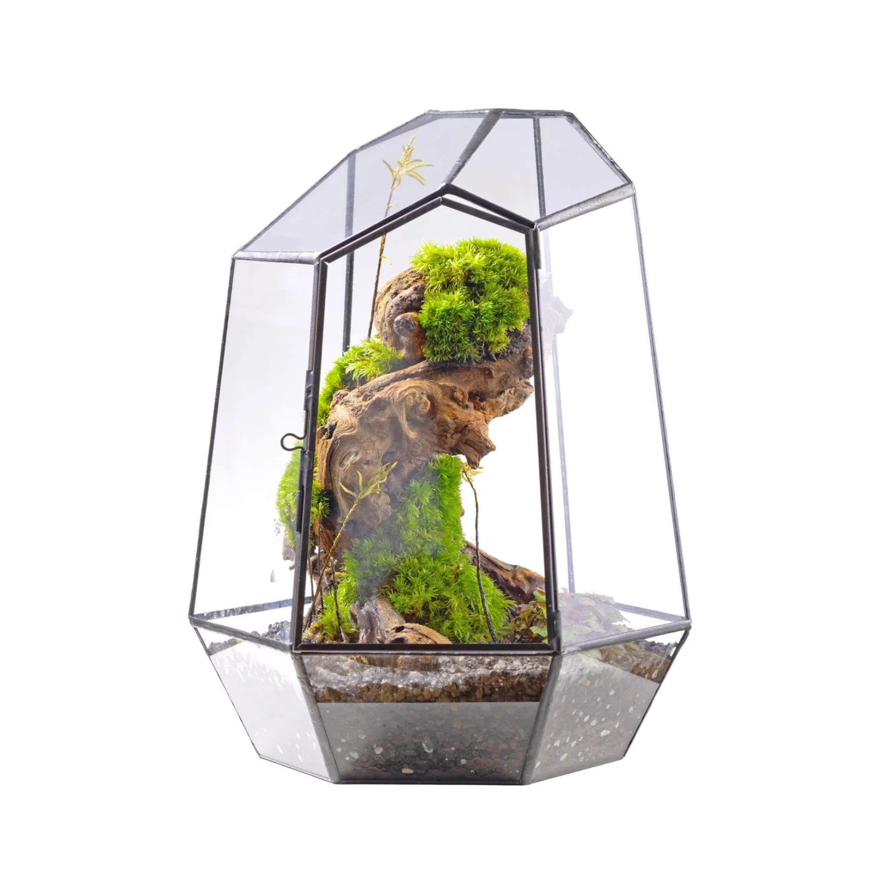 NCYP Zamknięte geometryczne szklane terrarium z drzwiami - 20 x 17,5 x 25 cm czarna doniczka z nieregularnym szkłem - nowoczesna doniczka na sukulenty kaktusy - dekoracja ogrodu domowego (rośliny nie