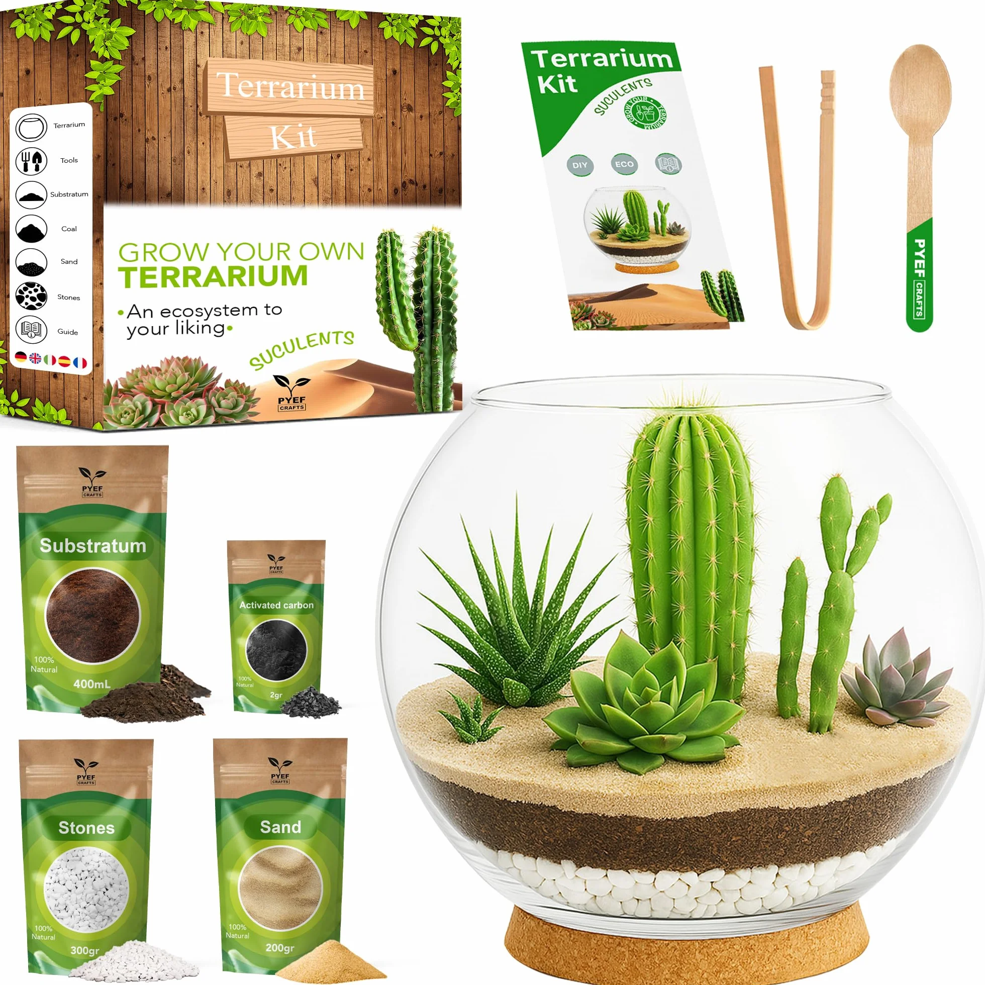 Zestaw do terrarium DIY dla sukulentów i kaktusów – zestaw startowy ze szklaną miską w zestawie – stwórz własny zestaw terrarium ze słoikiem, piaskiem, ziemią, węglem drzewnym, kamieniami